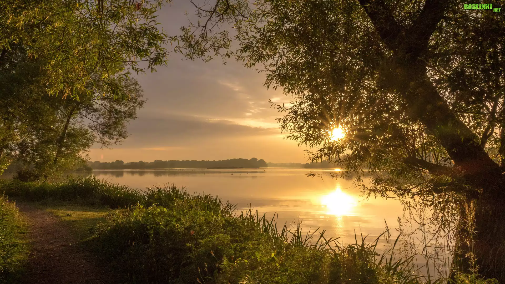 Jezioro, Drzewa, Brzeg, Ścieżka, Wschód słońca