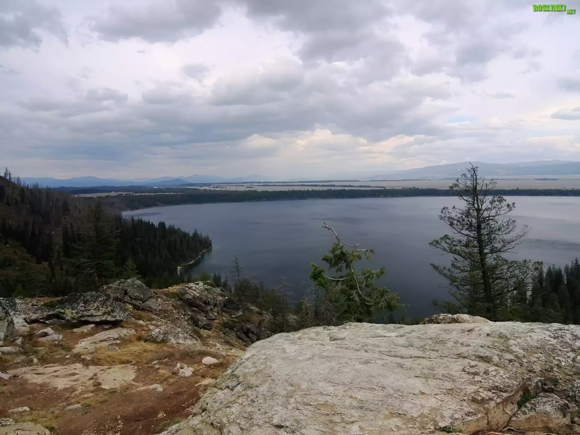 Jezioro, Skaliste, Wzniesienia, Drzewa
