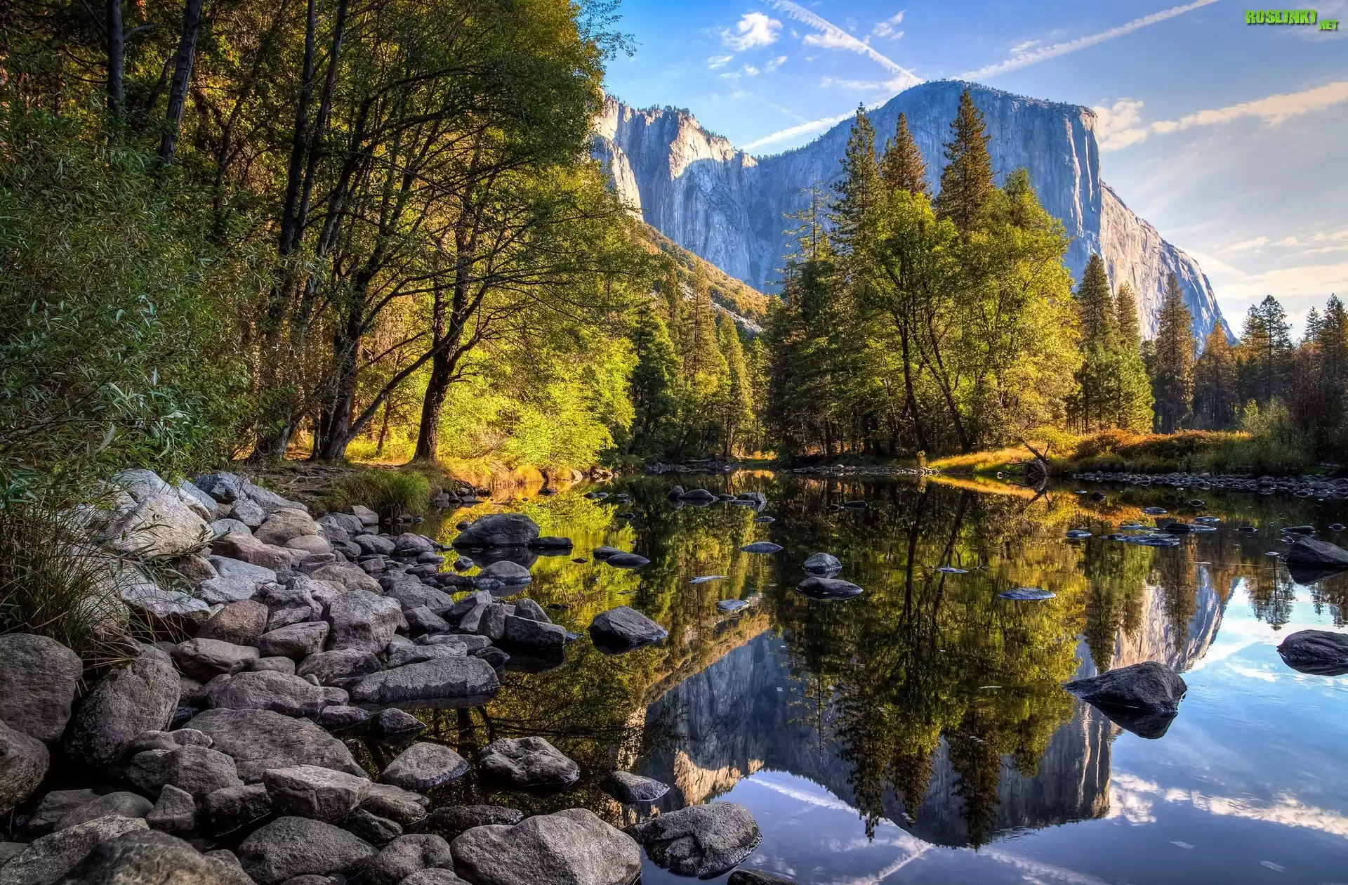 Stany Zjednoczone, Kalifornia, Park Narodowy Yosemite, Kamienie, Drzewa, Góry, Rzeka, Odbicie