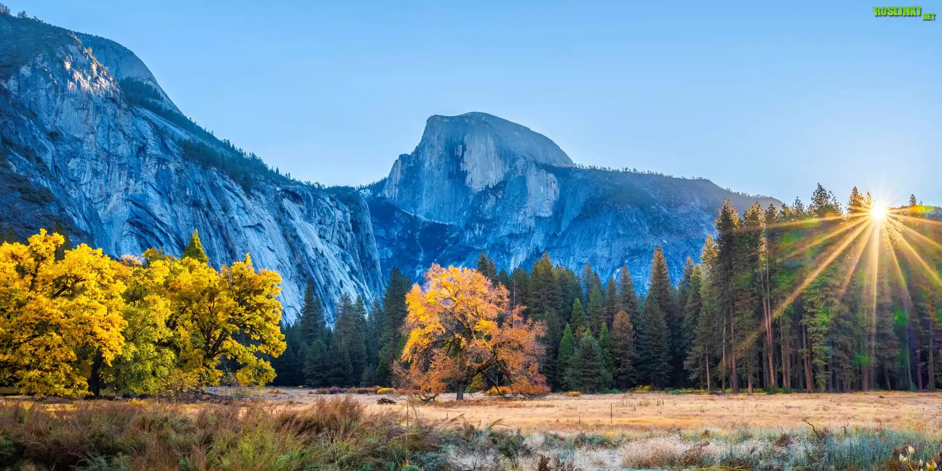 Park Narodowy Yosemite, Góry, Las, Drzewa, Jesień, Promienie słońca, Kalifornia, Stany Zjednoczone
