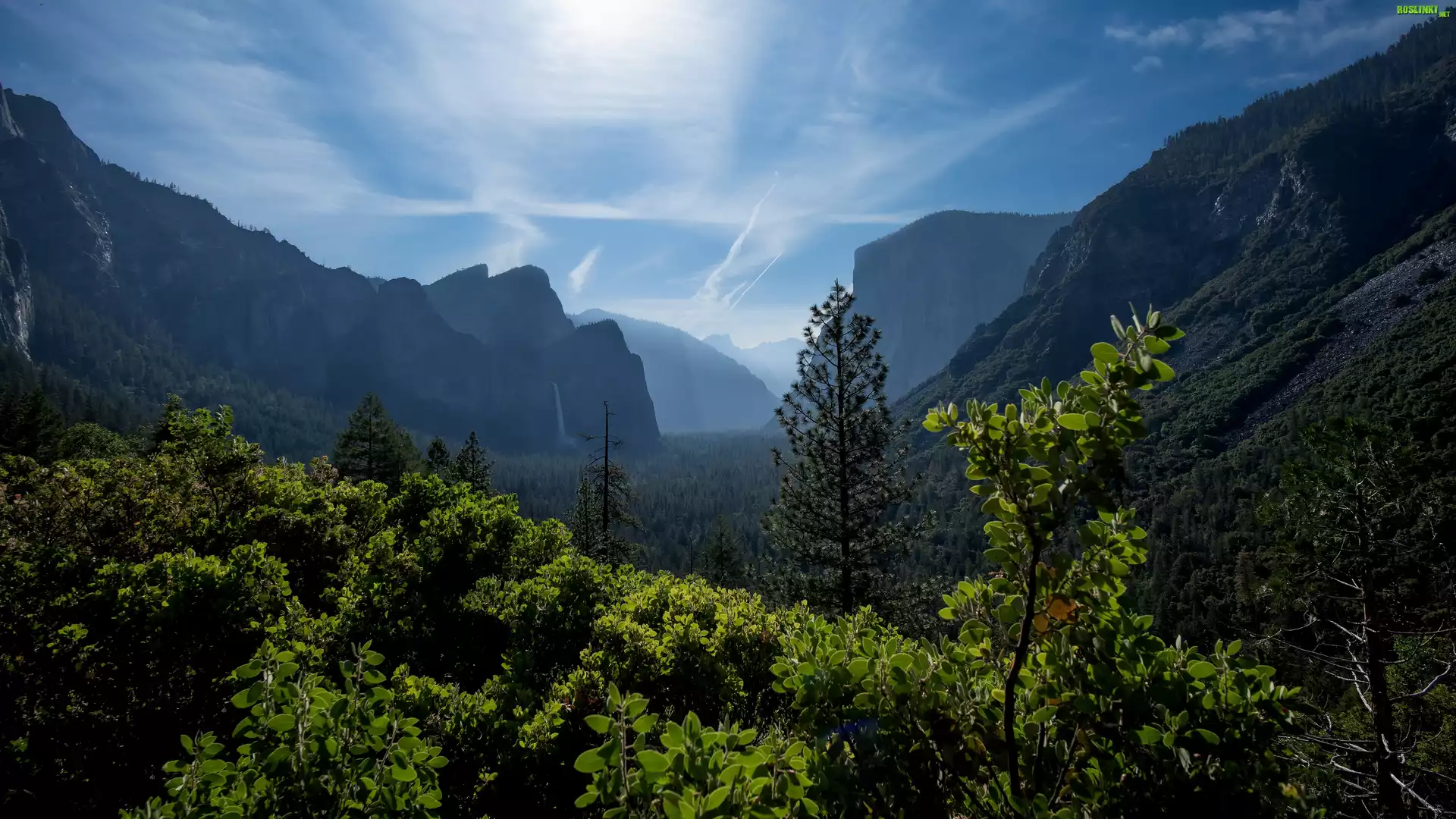 Park Narodowy Yosemite, Góry, Drzewa, Mgła, Skały, Liście, Wodospad, Kalifornia, Stany Zjednoczone