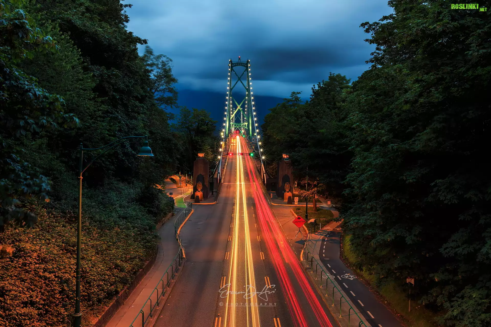 Most, Lions Gate Bridge, Noc, Światła, Drzewa, Vancouver, Kanada