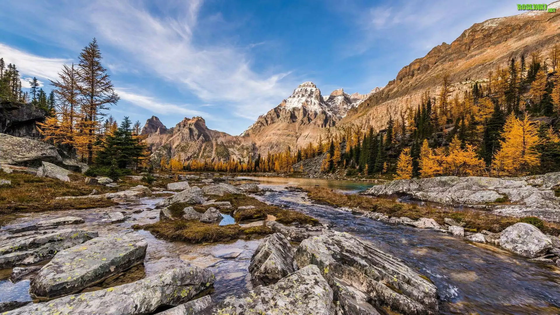 Kanada, Kolumbia Brytyjska, Park Narodowy Yoho, Płaskowyż Opabin Plateau, Góra Mount Huber, Strumień, Góry, Drzewa, Rzeka, Kamienie