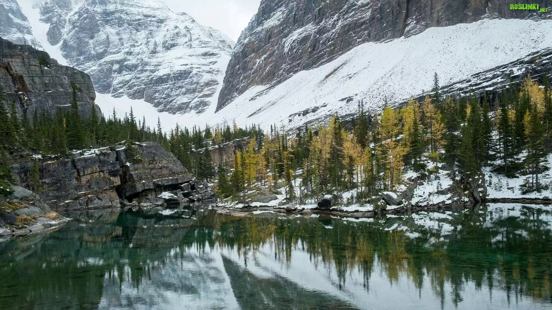 Kanada, Kolumbia Brytyjska, Park Narodowy Yoho, Góry Canadian Rockies, Jezioro O’Hara, Drzewa, Zima, Åšnieg, Odbicie
