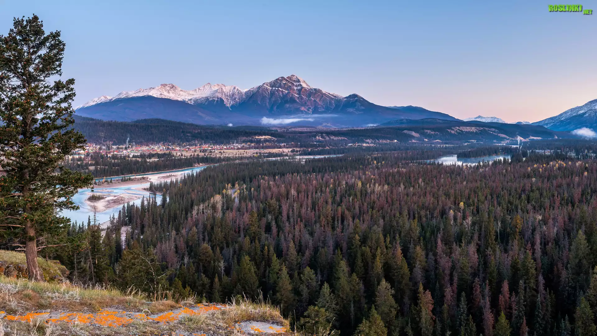 Góry Skaliste, Drzewa, Rzeka, Park Narodowy Jasper, Domy, Alberta, Kanada
