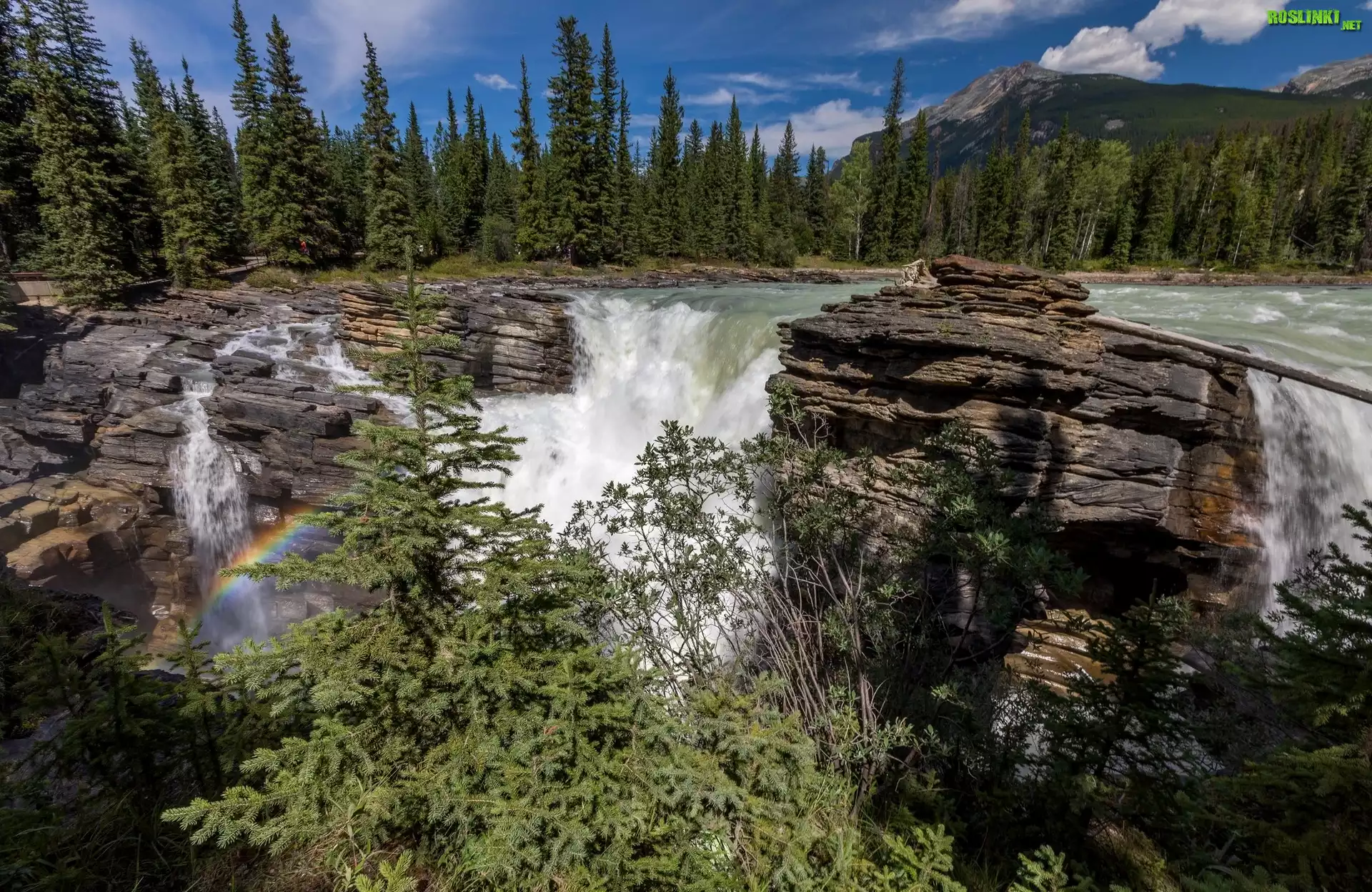 Kanada, Prowincja Alberta, Park Narodowy Jasper, Wodospad Athabasca, Rzeka Athabasca, Skały, Tęcza, Świerki