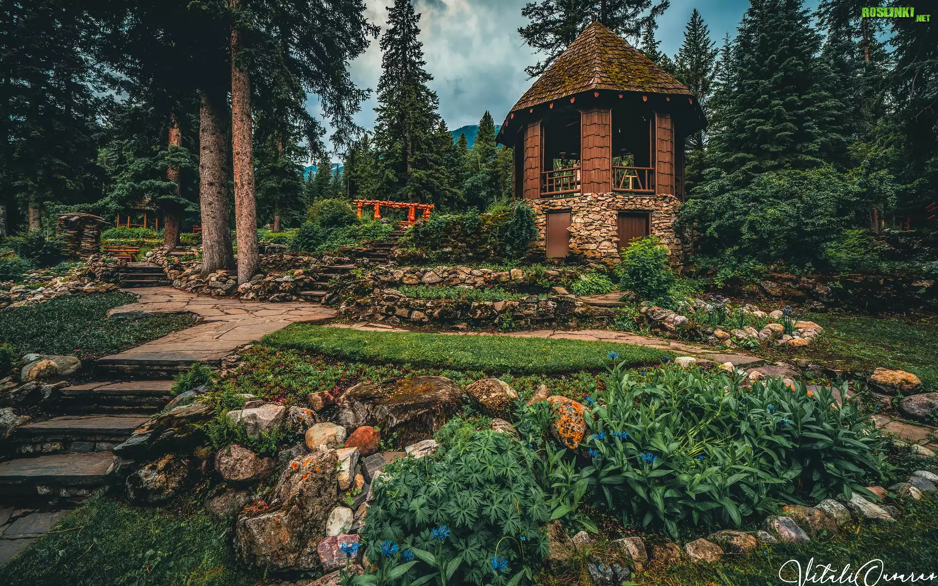 Park, Altana, Drzewa, Schodki, Rośliny, Park Narodowy Banff, Alberta, Kanada