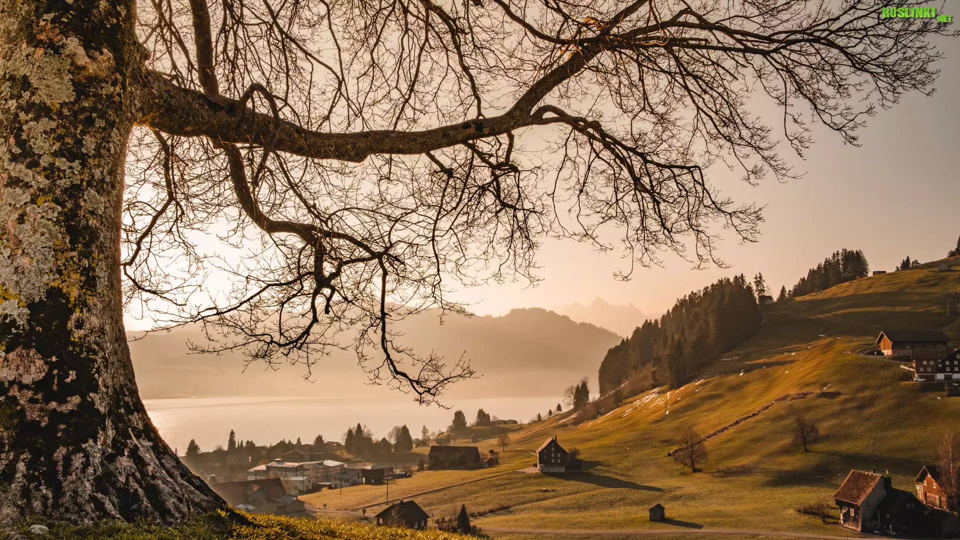 Szwajcaria, Kanton Schwyz, Einsiedeln, Domy, Jezioro, Góry, Drzewo