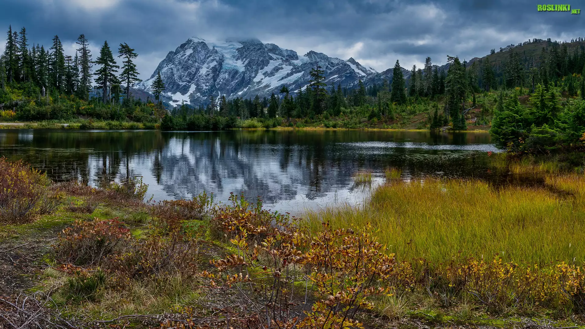 Jezioro, Picture Lake, Góry Kaskadowe, Góra, Mount Shuksan, Lasy, Drzewa, Stan Waszyngton, Stany Zjednoczone