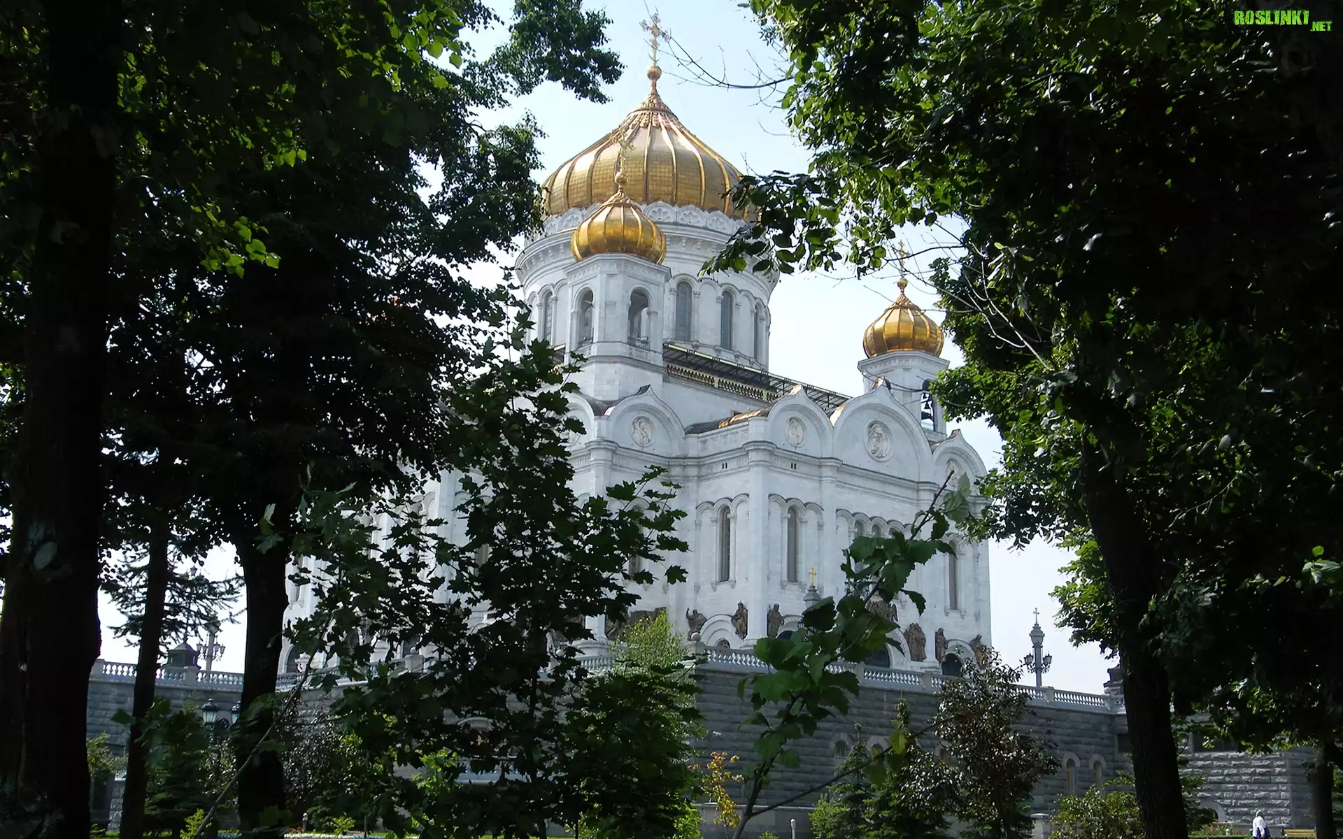 Katedra, Złote, Kopuły, Moskwa, Drzewa