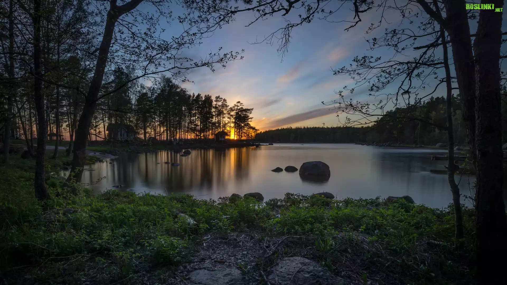 Jezioro Keitele, Wieś Niinilahti, Region Kymenlaakso, Finlandia, Drzewa, Domy, Wieczór, Zachód słońca