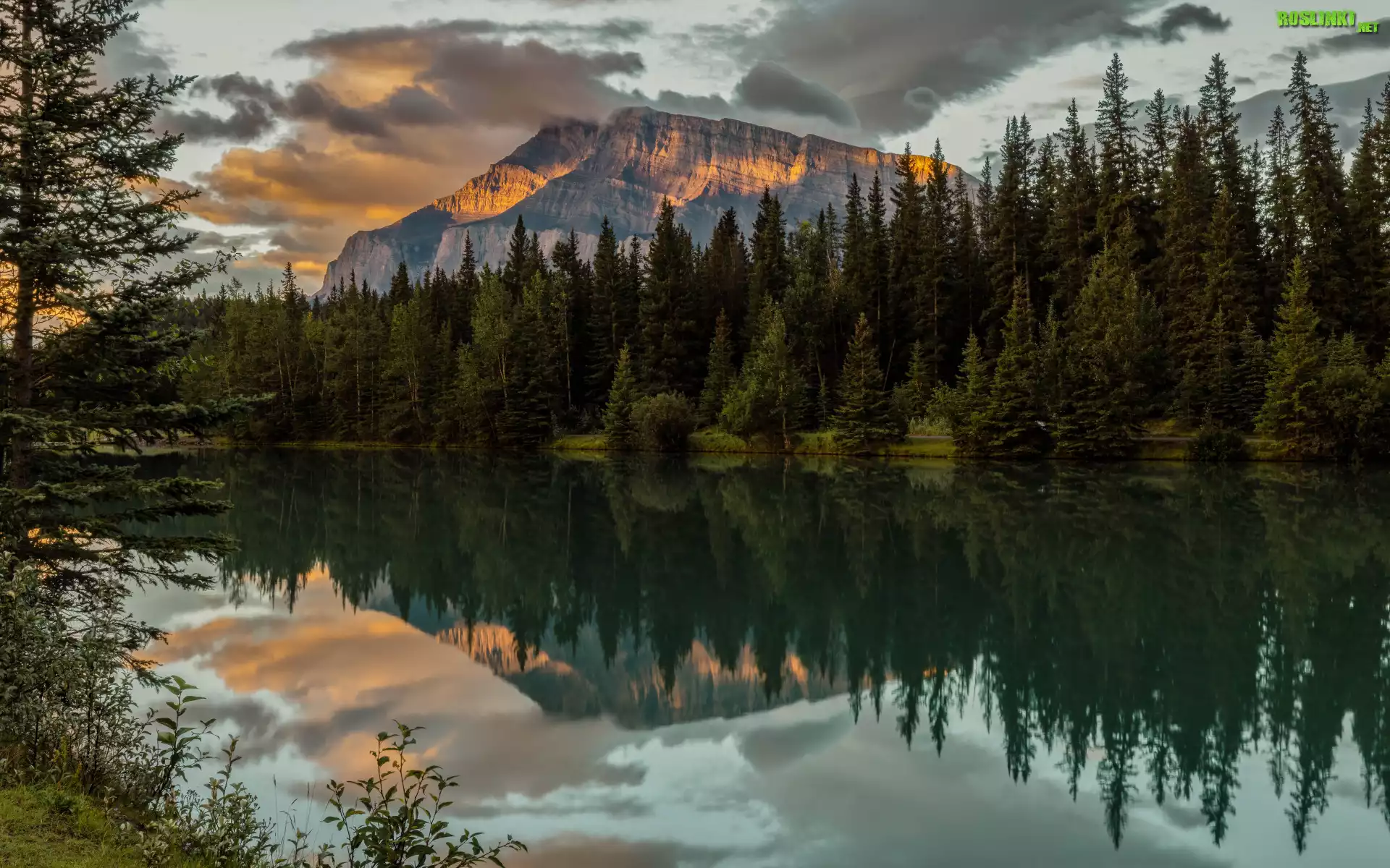 Góry, Góra Mount Rundle, Jezioro, Two Jack Lake, Park Narodowy Banff, Drzewa, Odbicie, Alberta, Kanada
