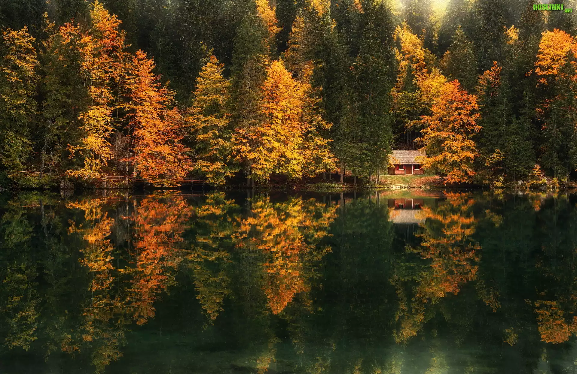 Jezioro Fusine Lake, Jesień, Drzewa, Lasy, Odbicie, Domek, Prowincja Udine, Włochy