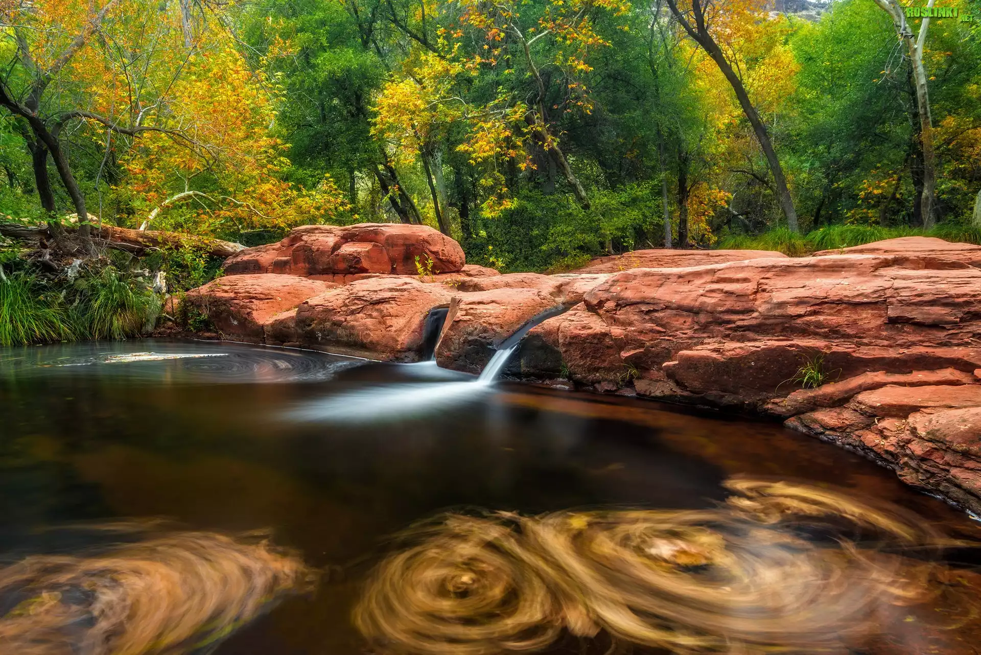 Stany Zjednoczone, Arizona, Dolina, Verde Valley, Rzeka, Beaver Creek, Las, Drzewa, Skały