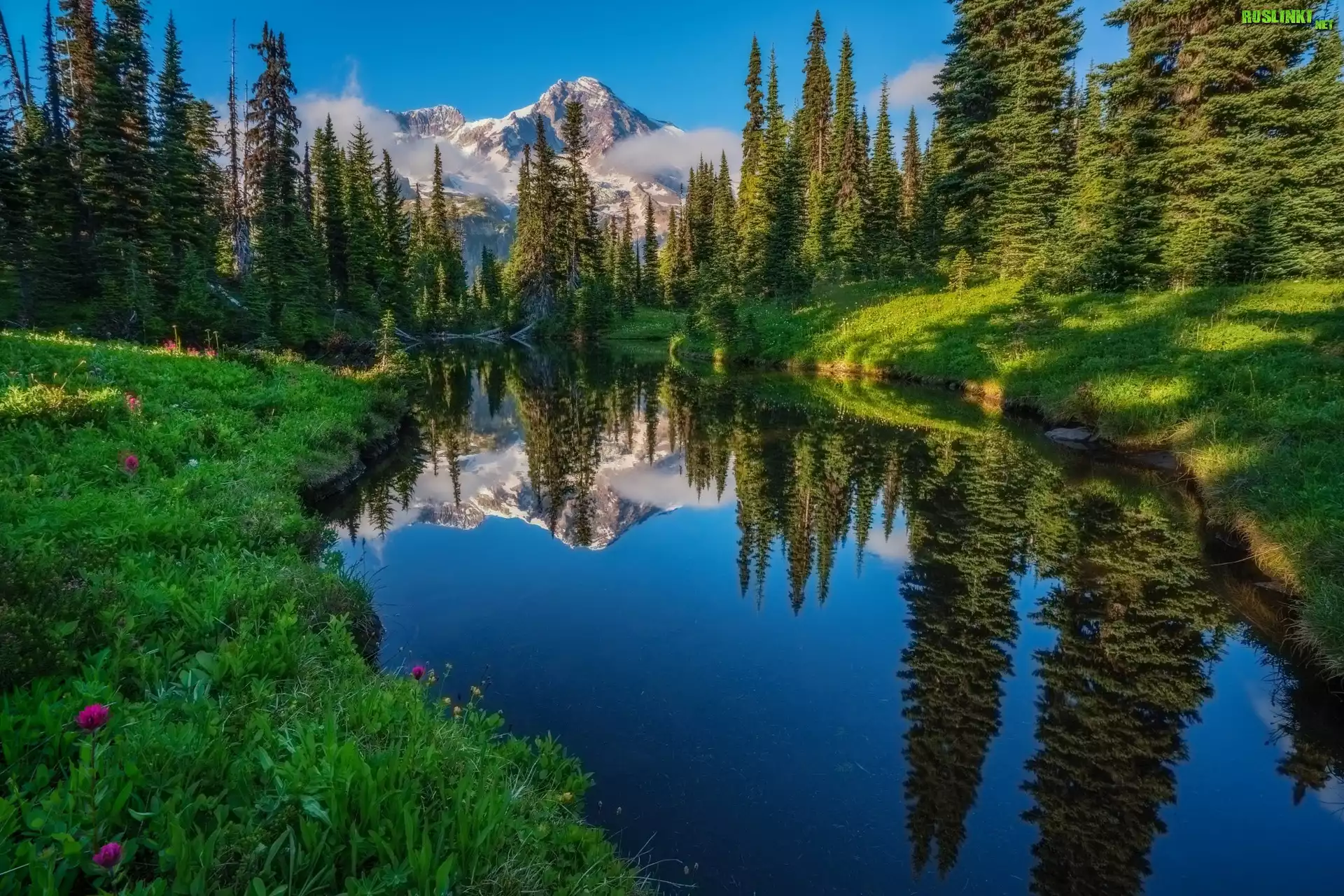 Stany Zjednoczone, Stan Waszyngton, Park Narodowy Mount Rainier, Jezioro Las, Drzewa, Rzeka, Góry, Odbicie