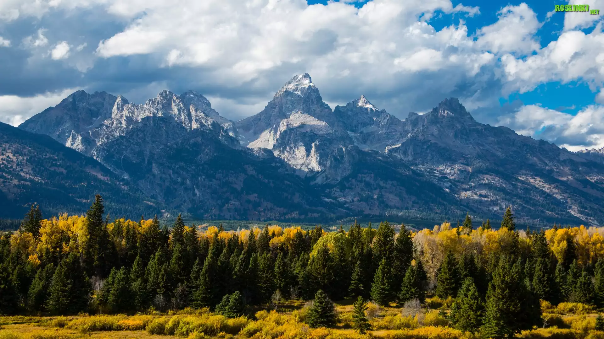 Stany Zjednoczone, Utah, Park Narodowy Grand Teton, Góry, Chmury, Las, Drzewa, Jesień