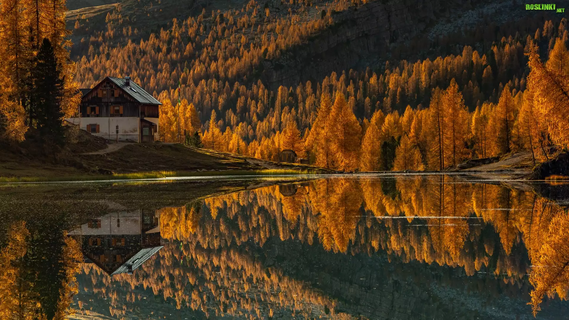 Jesień, Jezioro, Lago Federa, Góra, Dom, Las, Żółte, Drzewa, Modrzewie, Włochy