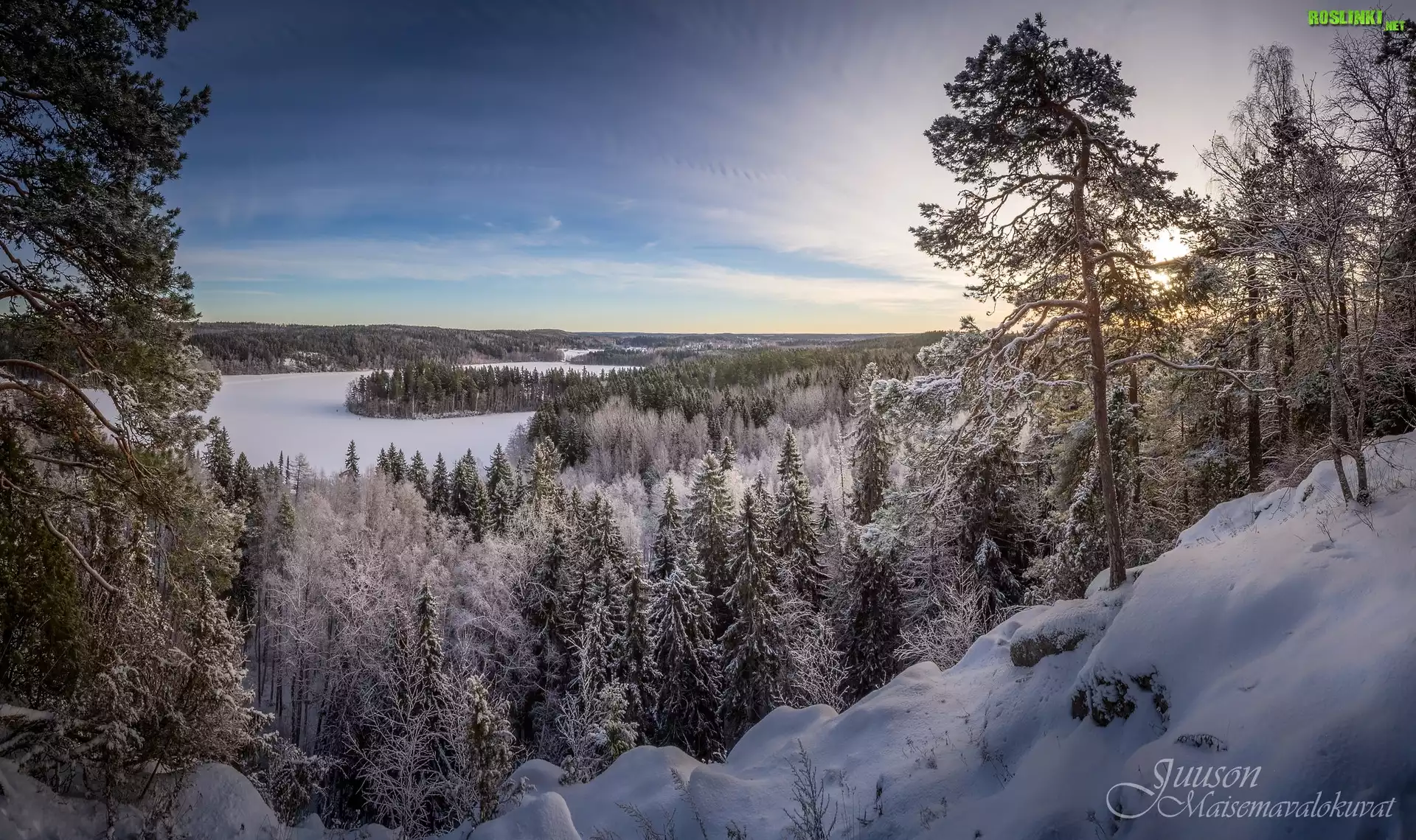 Zima, Park Aulanko, Jezioro Aulangonjarvi, Hameenlinna, Finlandia, Drzewa, Lasy