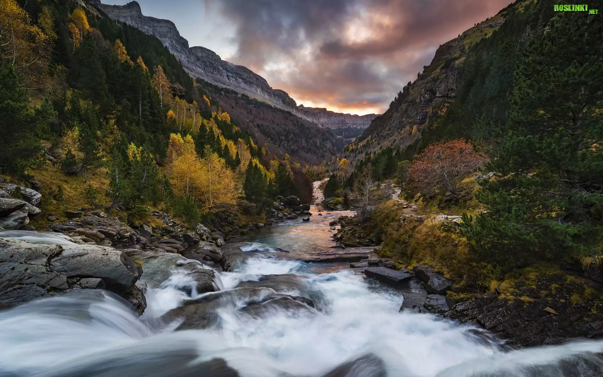 Góry, Rzeka, Kamienie, Drzewa, Lasy, Pireneje, Park Narodowy de Ordesa y Monte Perdido, Hiszpania