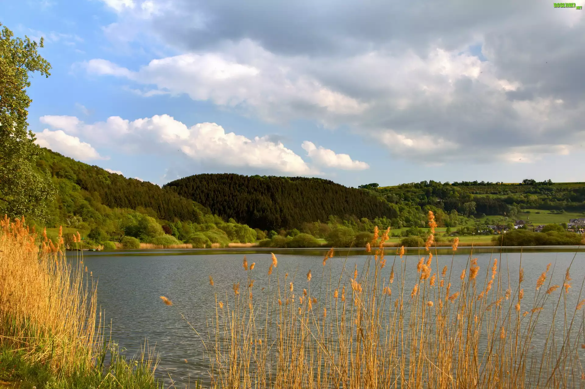 Jezioro, Lasy, Jesień