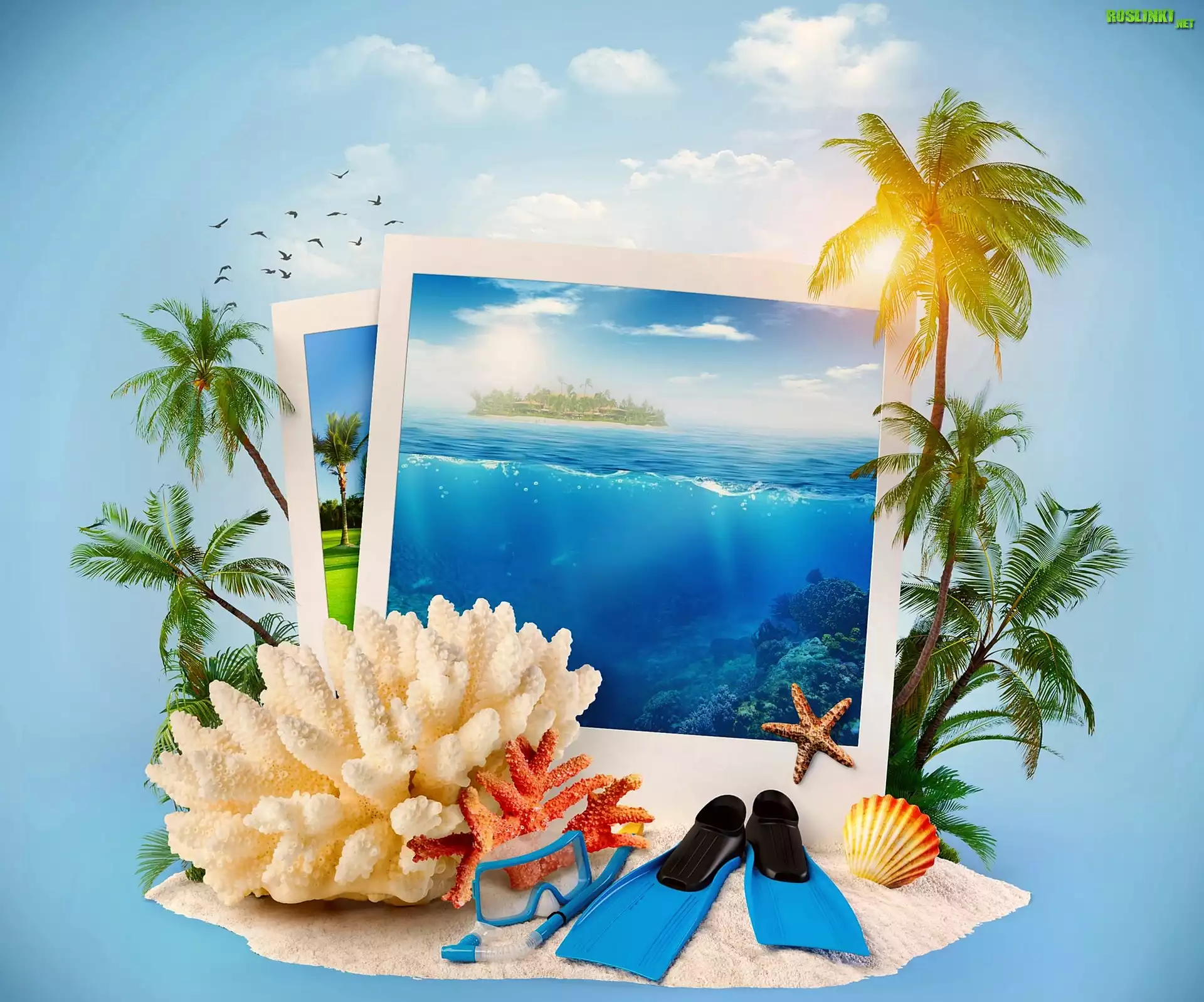 Lato, Wakacje, Ocean, Palmy