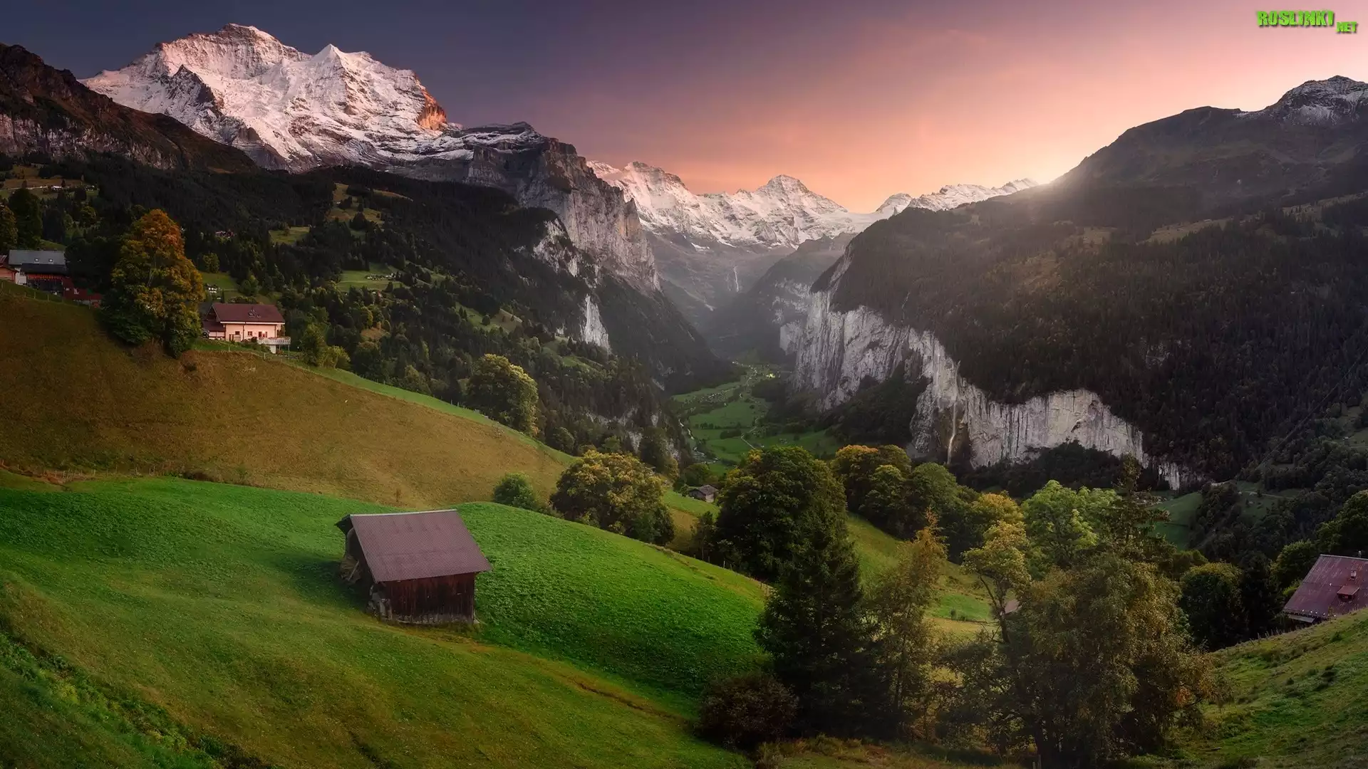 Góry, Alpy Berneńskie, Dolina Lauterbrunnental, Drzewa, Lasy, Domy, Wschód słońca, Wengen, Kanton Berno, Szwajcaria