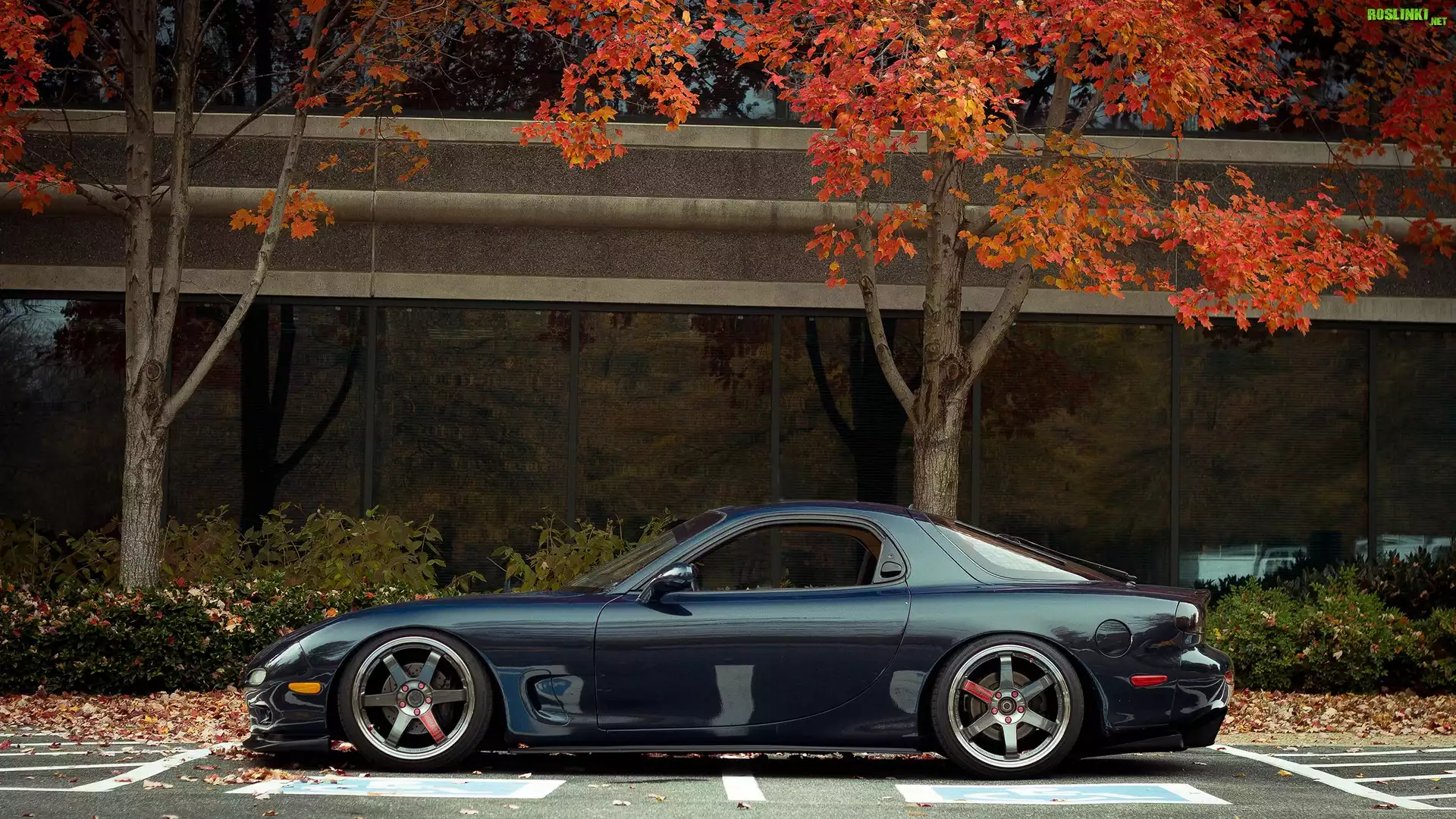 Mazda, RX-7, Parking, Drzewa