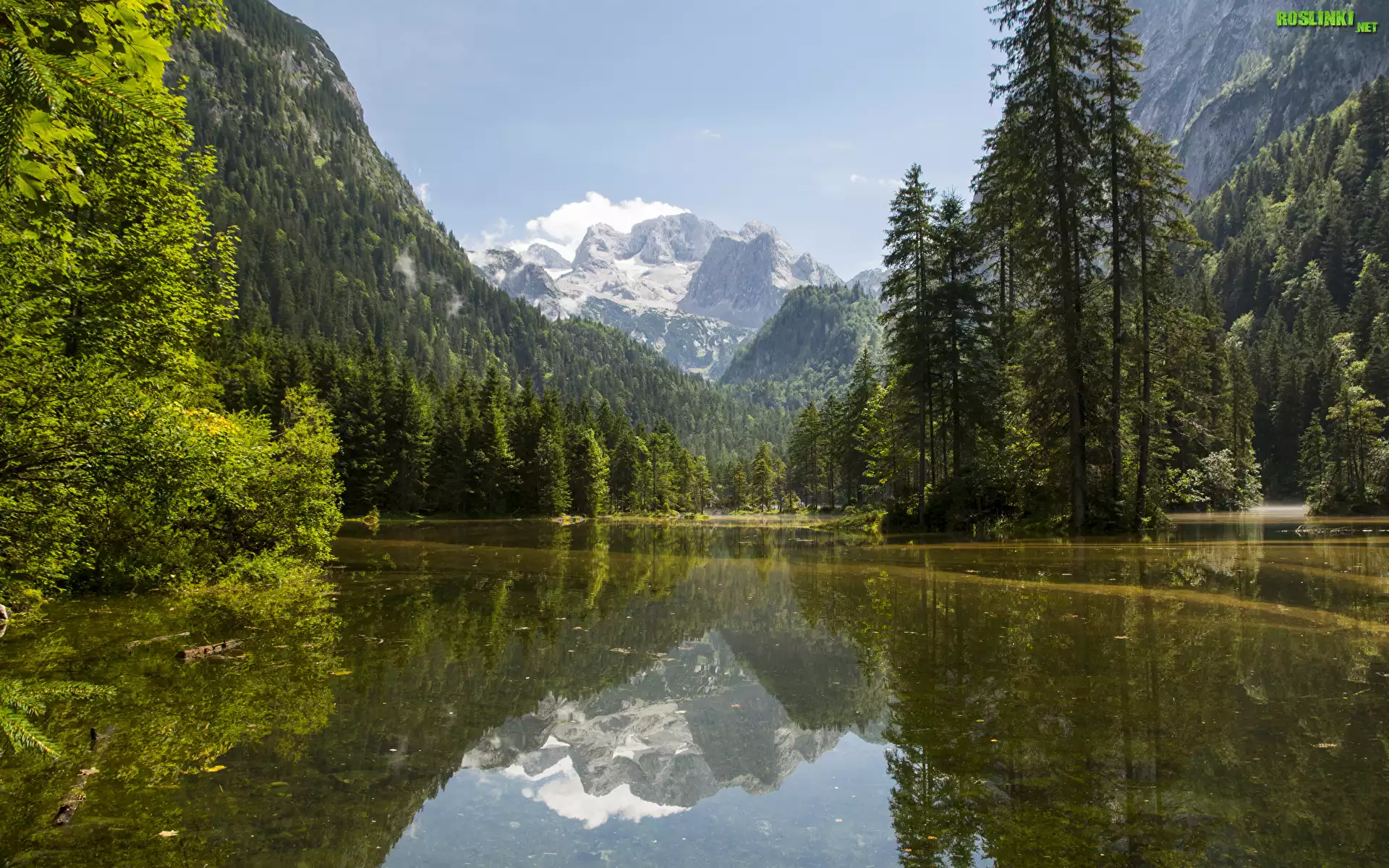 Austria, Góry Dachstein, Jezioro Gosauseen, Drzewa, Las, Niebo, Chmury, Mgła