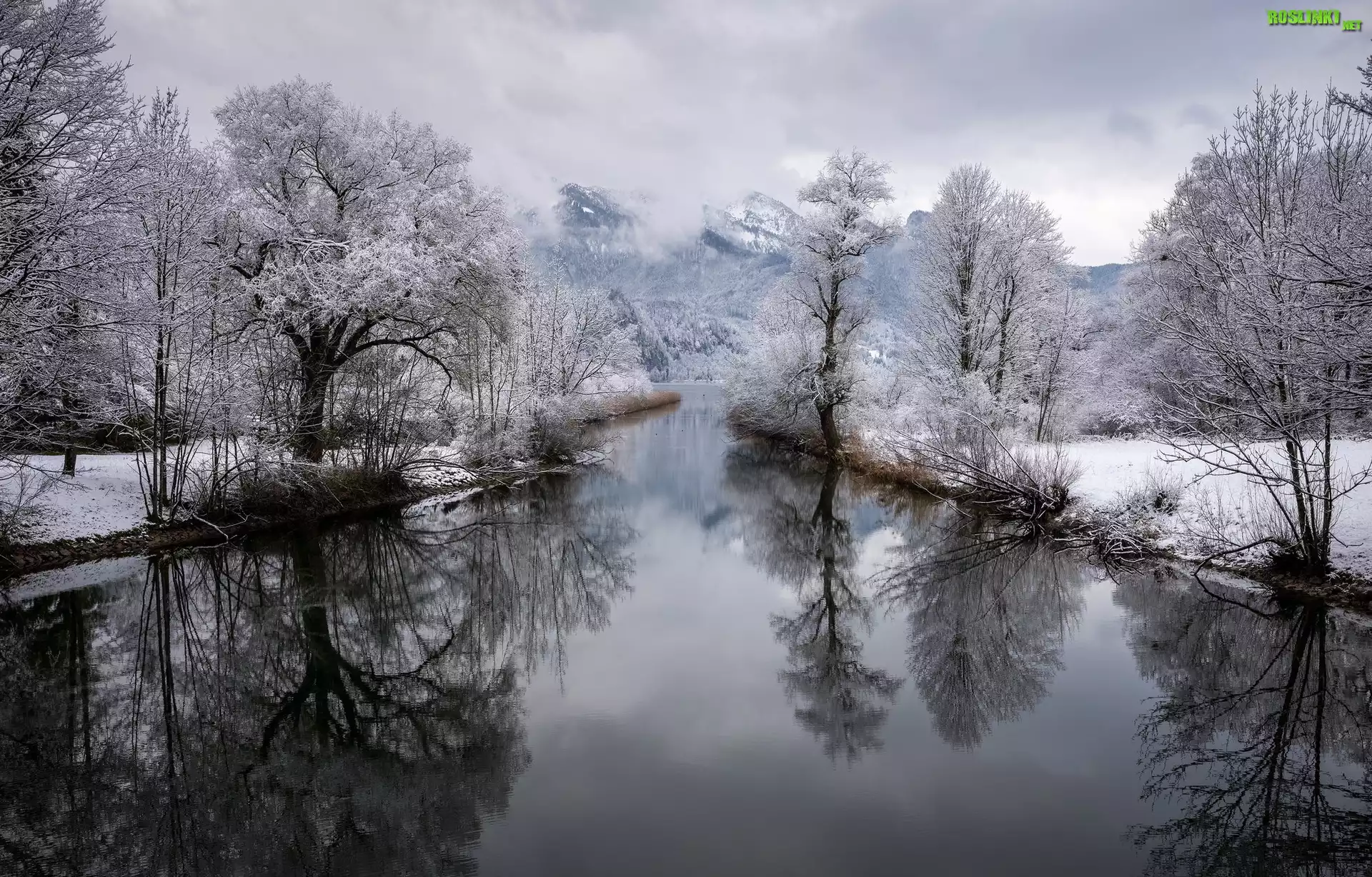 Niemcy, Bawaria, Miejscowość Kochel am See, Rzeka Loisach, Zima, Drzewa, Góry