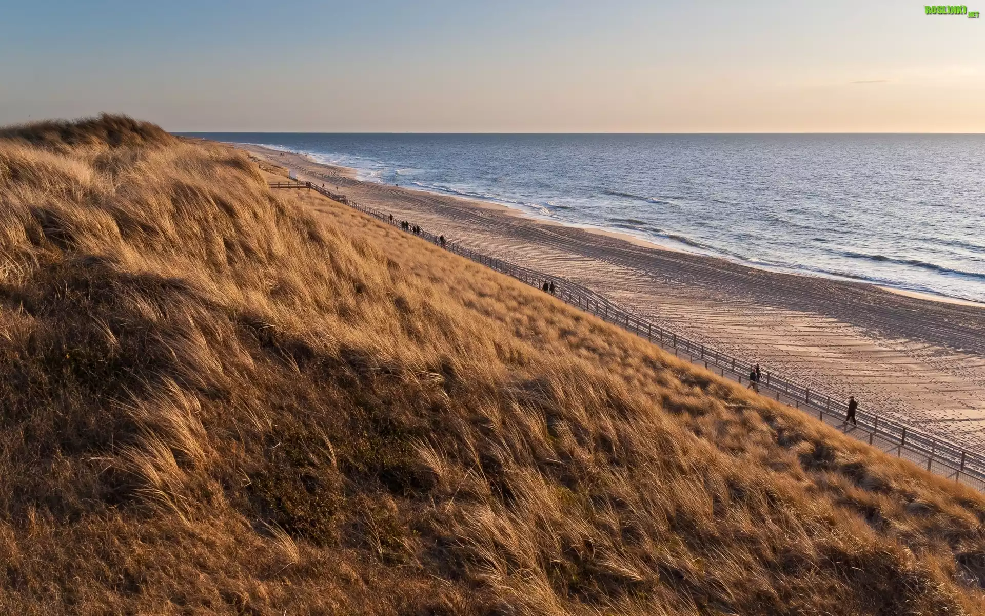 Morze, Plaża, Deptak, Trawa