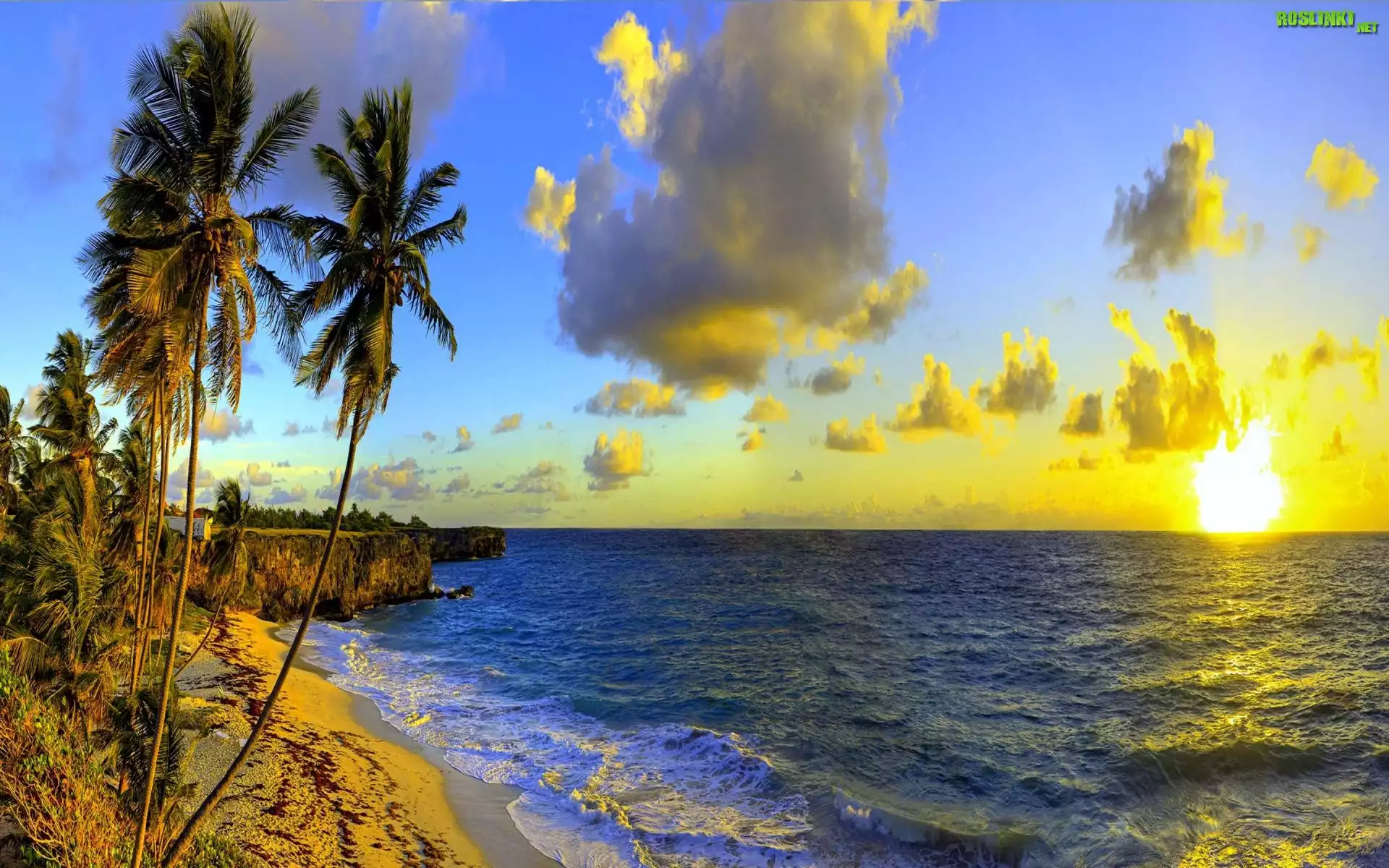 Morze, Chmury, Palmy, Zachód Słońca, Barbados