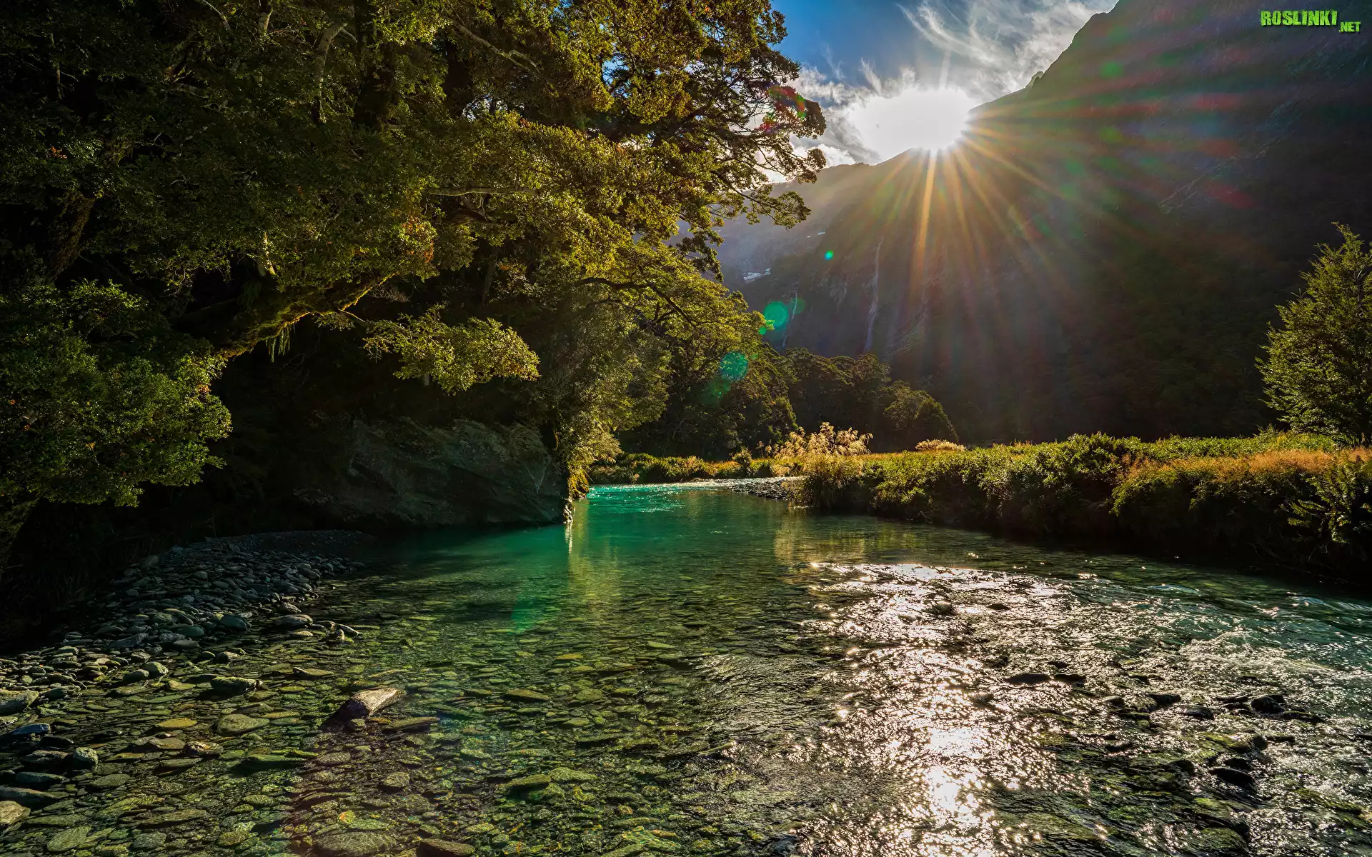 Nowa Zelandia, Park Narodowy Mount Aspiring, Góry, Drzewa, Promienie słoneczne, Poranek, Rzeka, Kamienie, Roślinność