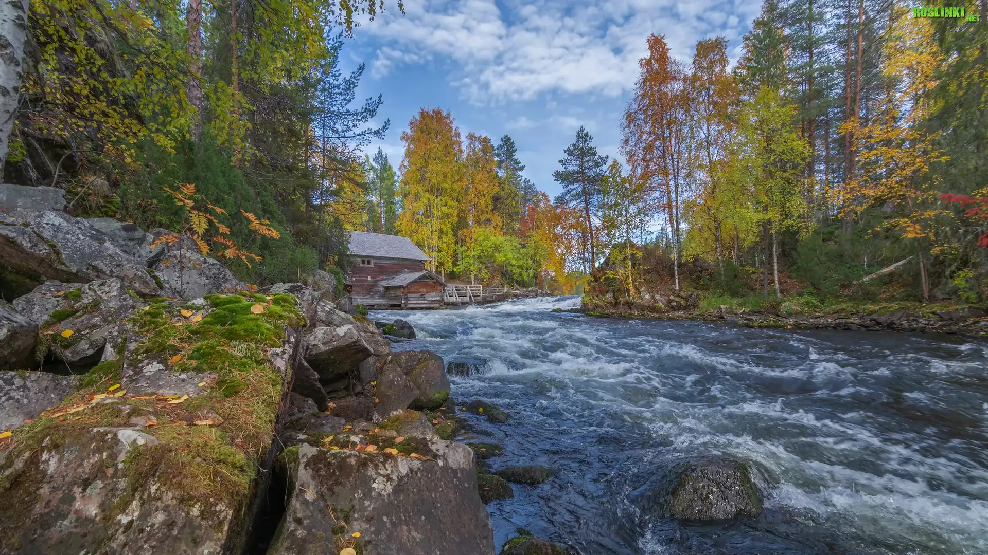 Jesień, Park Narodowy Oulanka, Drewniany, Młyn Myllykoski, Drzewa, Rzeka, Laponia, Finlandia