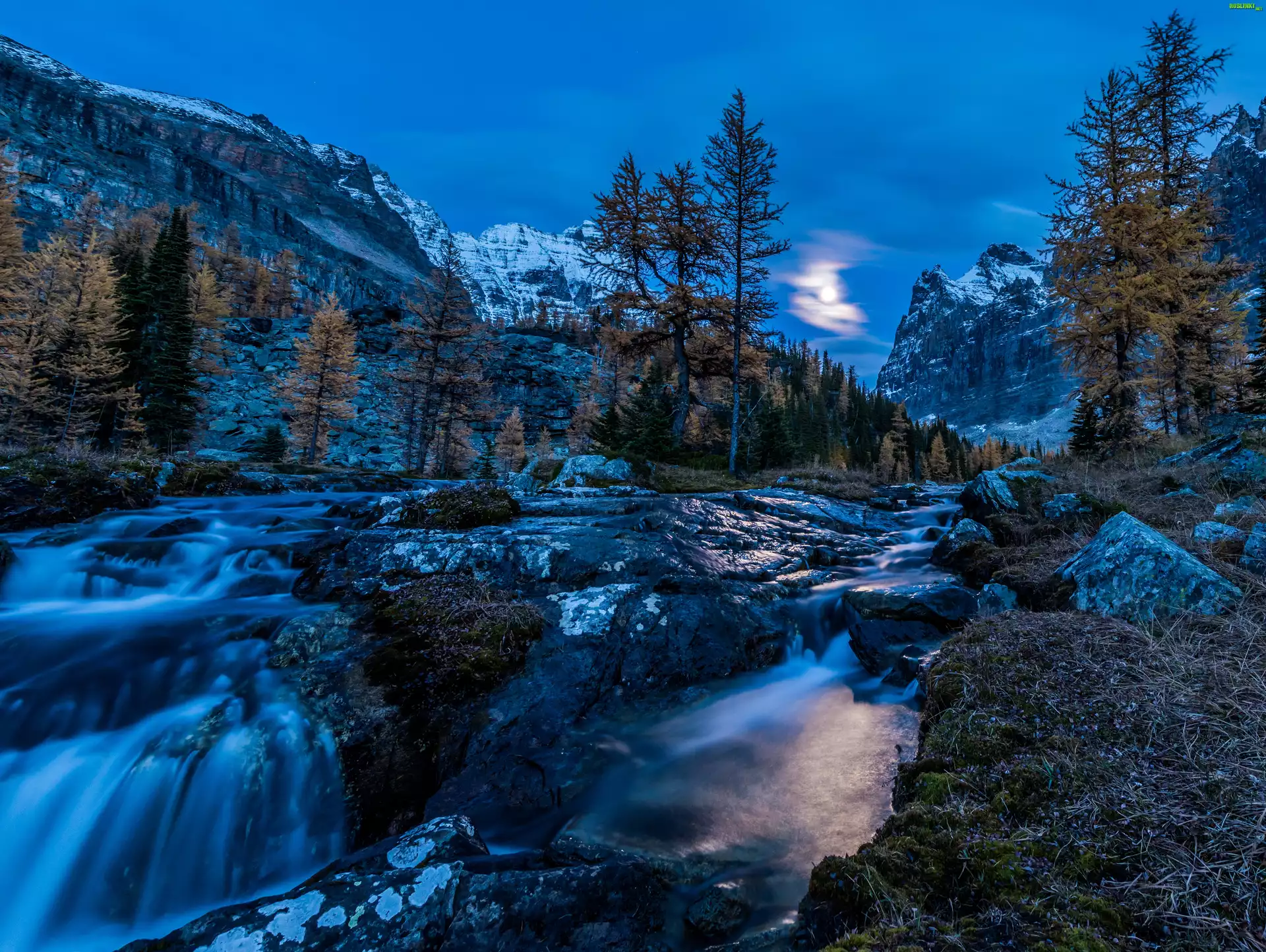 Kanada, Park Narodowy Yoho, Potok, Góry, Świt, Drzewa