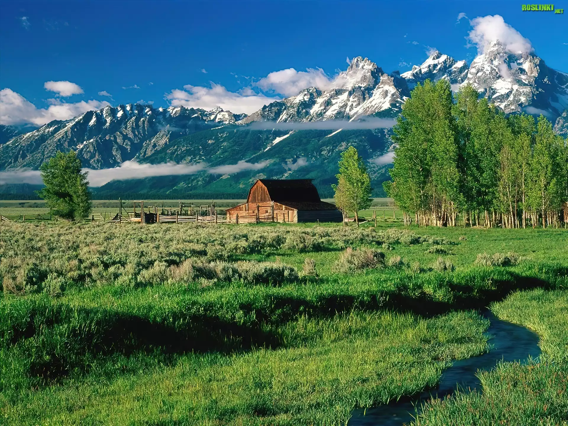 Stany Zjednoczone, Stan Wyoming, Park Narodowy Grand Teton, Góry Teton Range, Drewniany, Budynek, Drzewa, Strumyk