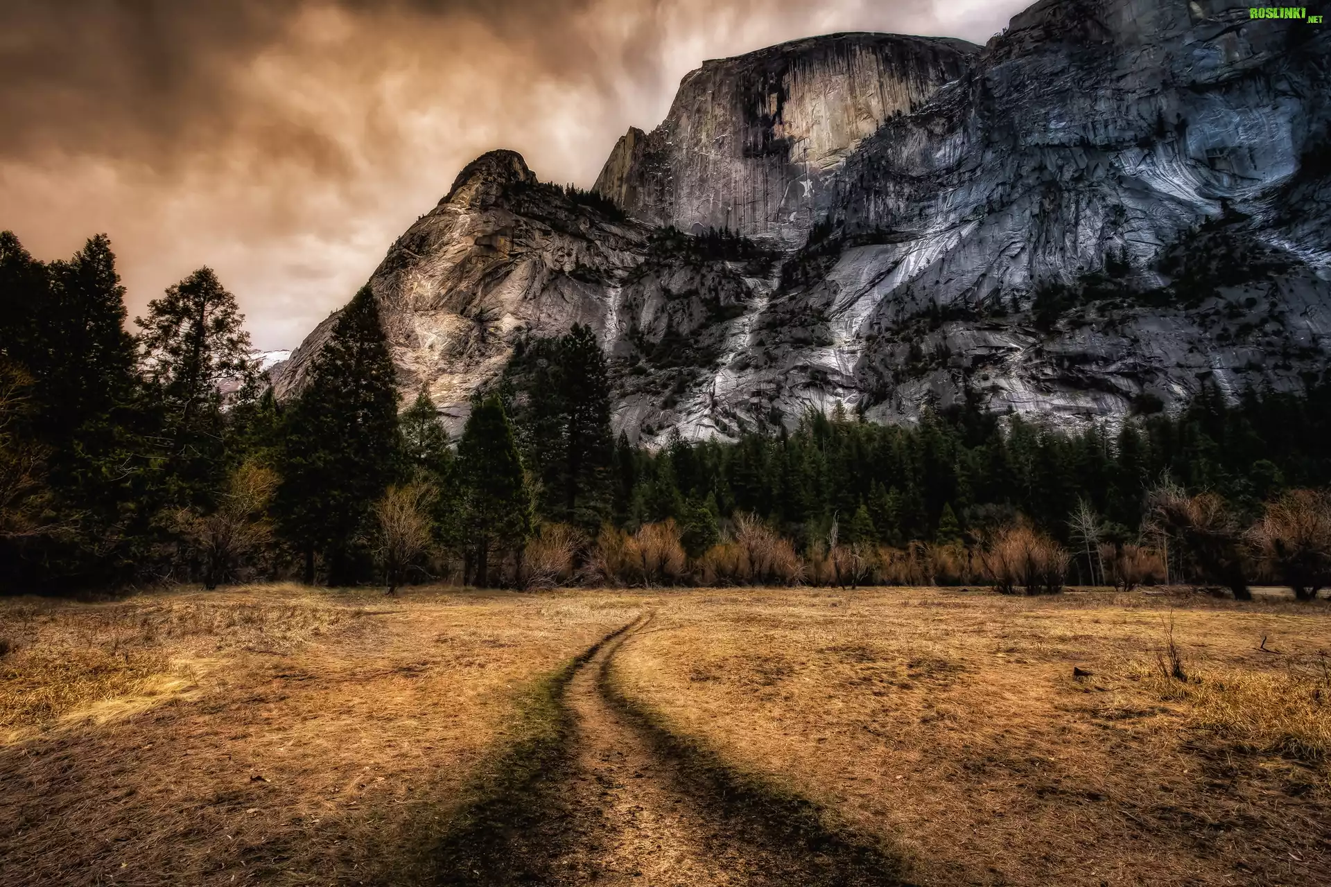 Stany Zjednoczone, Stan Kalifornia, Park Narodowy Yosemite, Góry Half Dome, Ścieżka, Drzewa
