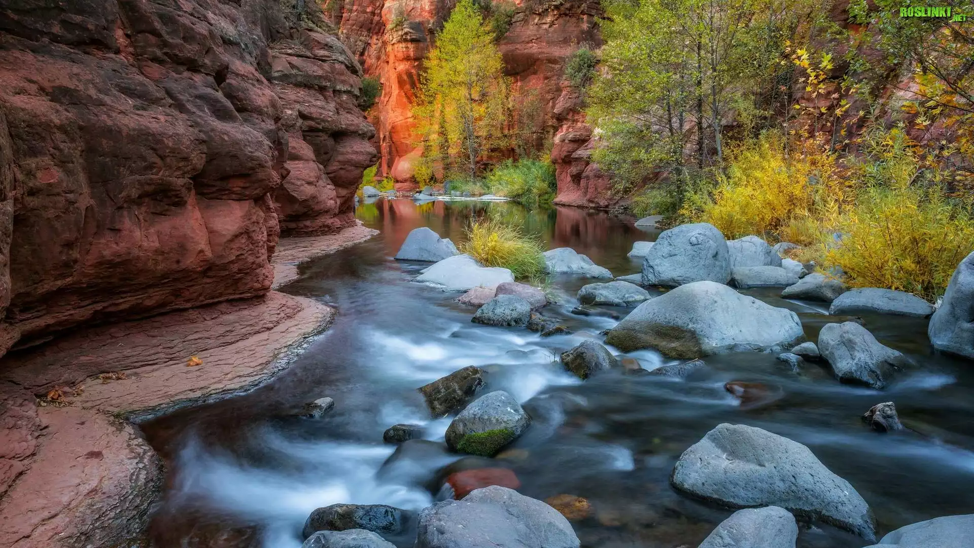 Stany Zjednoczone, Arizona, Sedona, Wąwóz Oak Creek Canyon, Rzeka Oak Creek, Skały, Kamienie, Drzewa