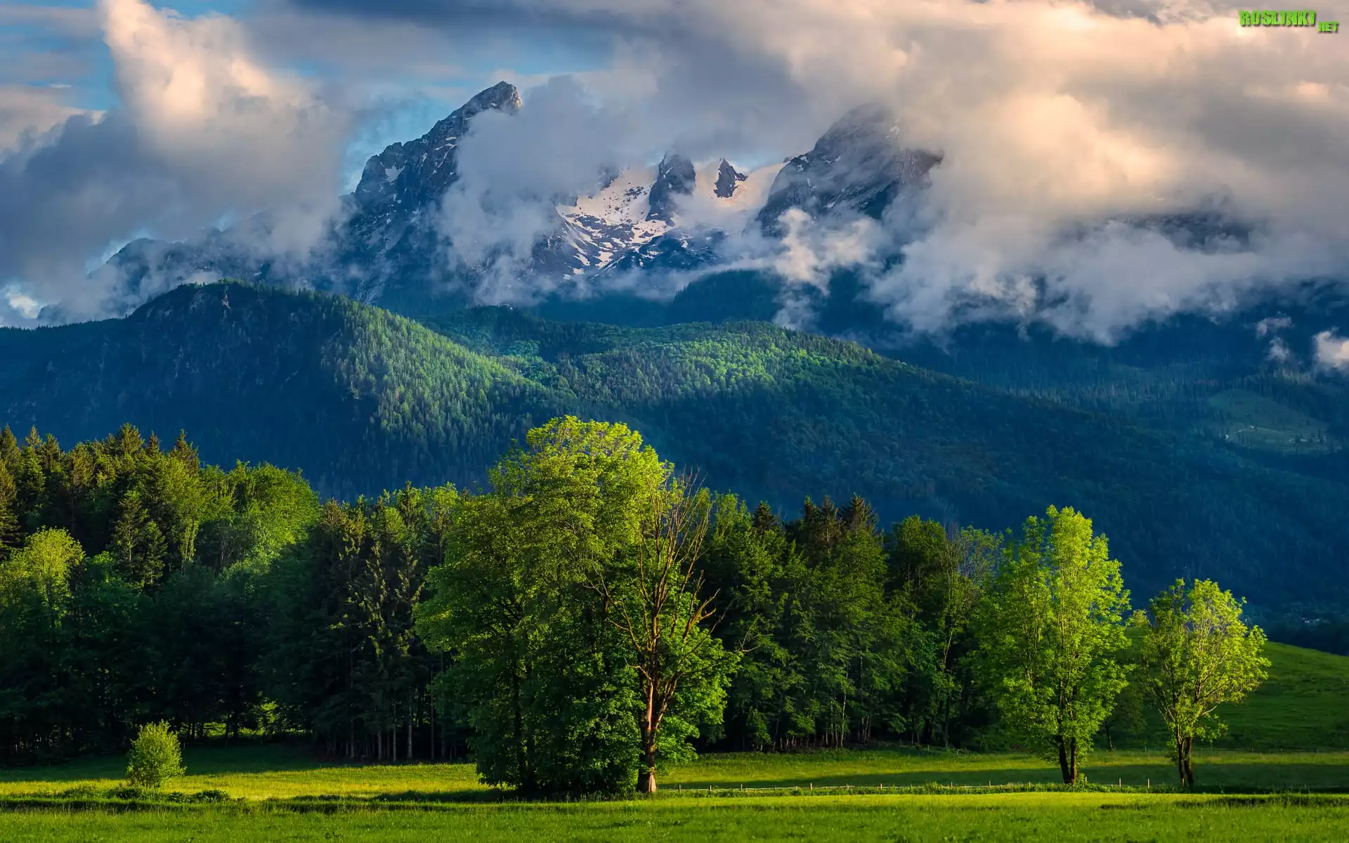 Góry, Alpy Berchtesgadeńskie, Las, Drzewa, Chmury, Bawaria, Niemcy