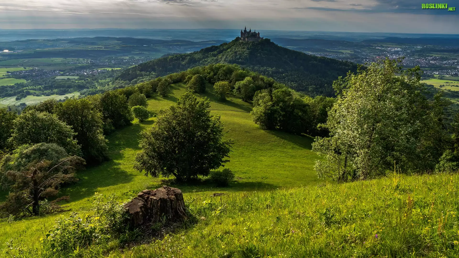 Góra Hohenzollern, Zamek Hohenzollern, Drzewa, Chmury, Wzgórze, Badenia-Wirtembergia, Niemcy