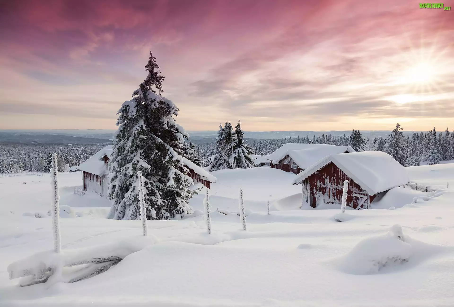Zima, Domy, Drzewa, Śnieg, Promienie słońca, Sjusjoen, Okręg Hedmark, Norwegia