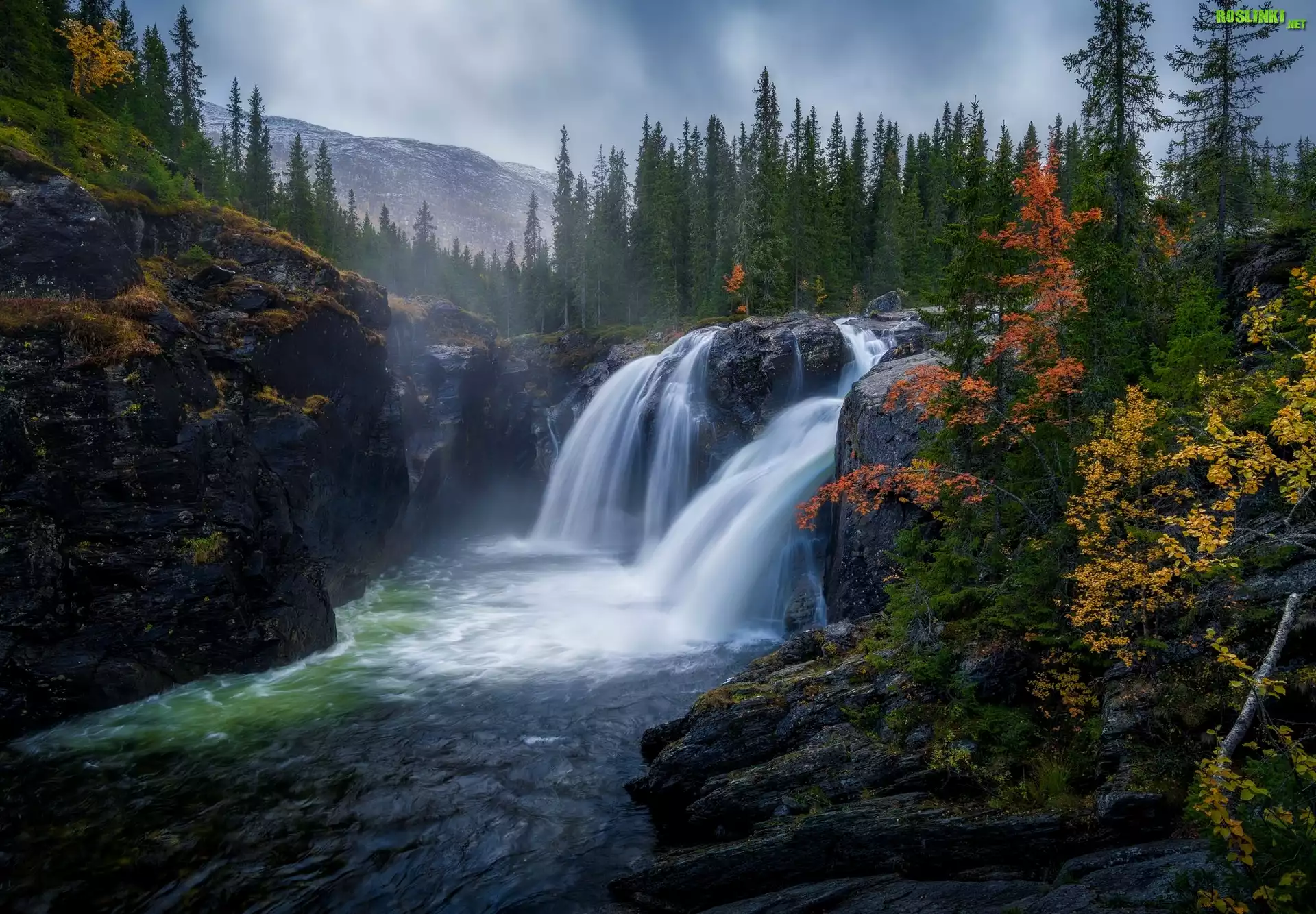 Jesień, Góry, Świerki, Skały, Wodospad Rjukandefossen, Gmina Hemsedal, Norwegia