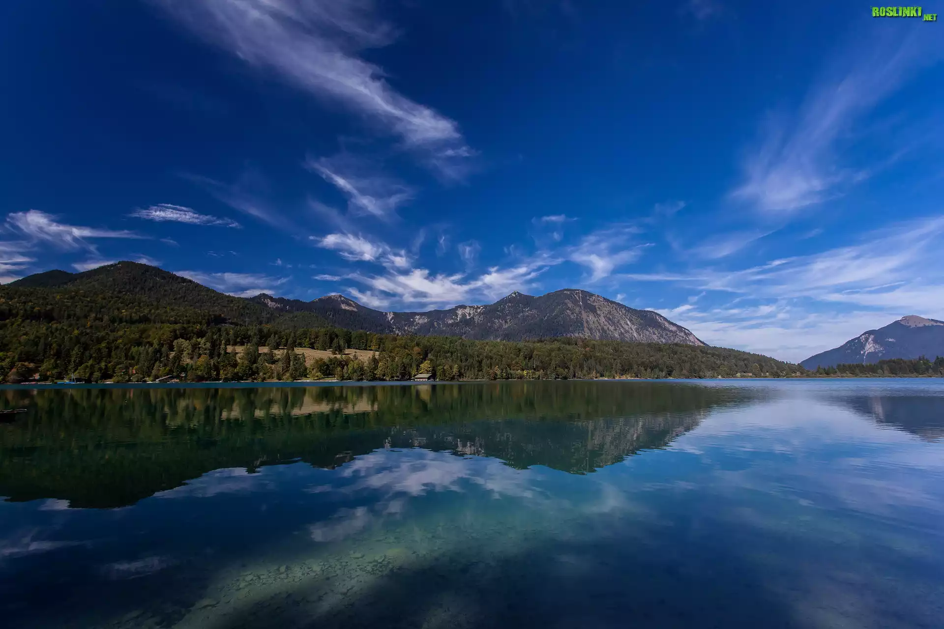 Niemcy, Bawaria, Jezioro Walchensee, Góry, Alpy Bawarskie, Drzewa, Odbicie