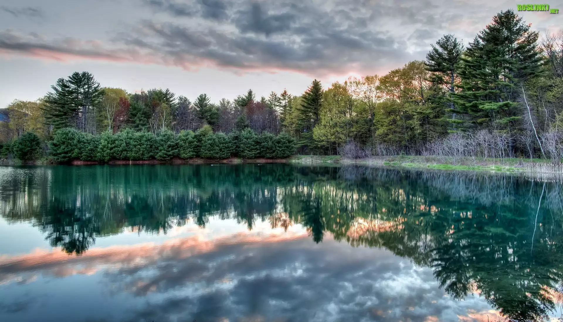 Staw, Thorne Pond, Drzewa, Chmury, Odbicie, Bartlett, Stan New Hampshire, Stany Zjednoczone