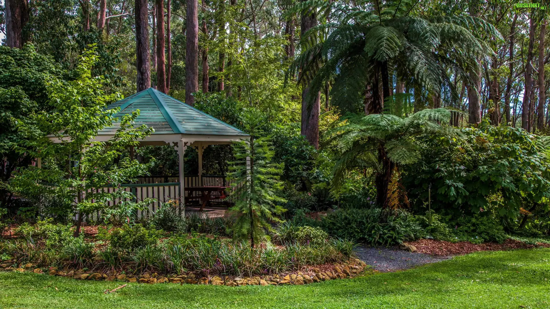 Australia, Ogród Botaniczny Mount Lofty, Krzewy, Drzewa, Altana