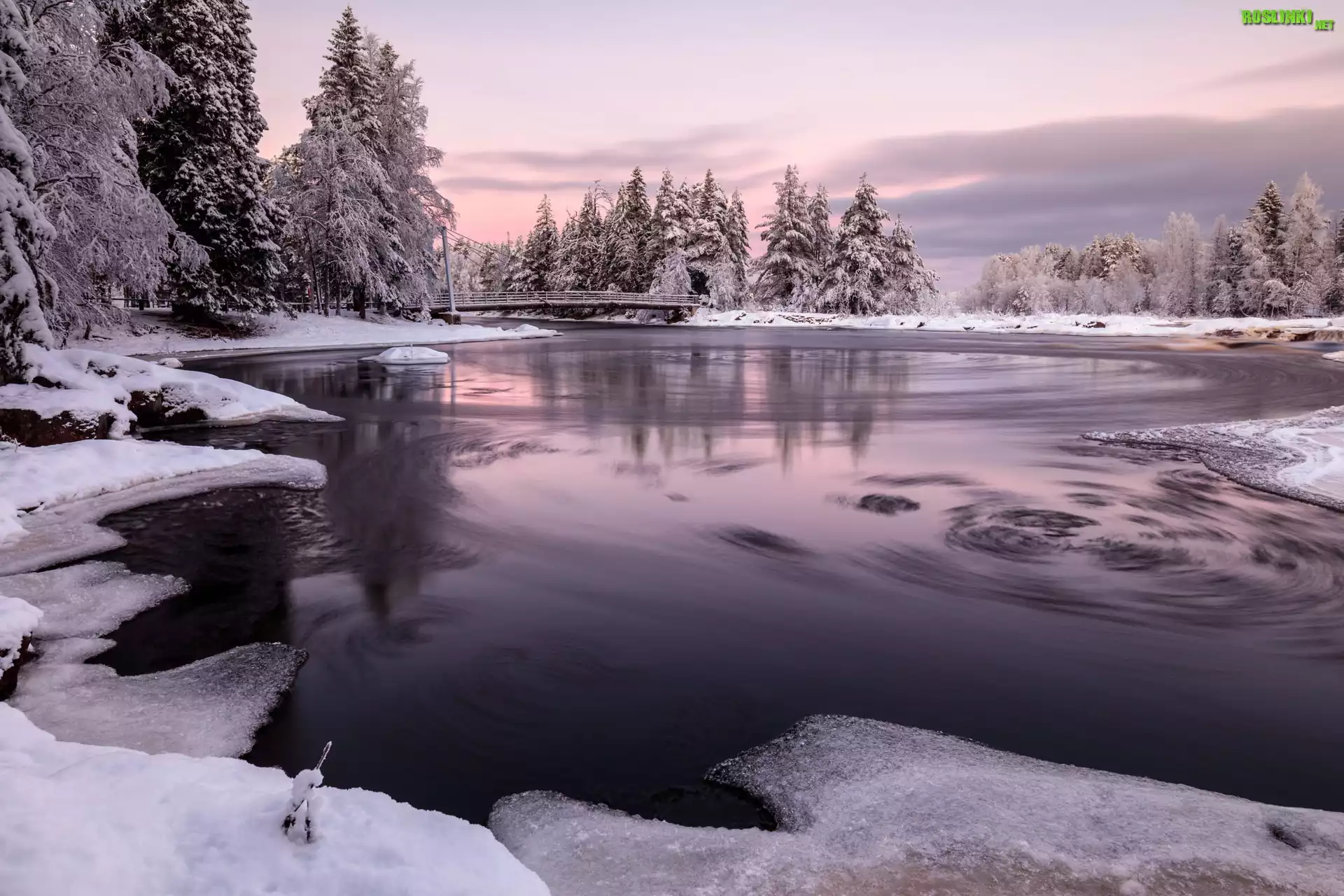 Zima, Ośnieżone, Drzewa, Most, Rzeka Oulujoki, Oulu, Finlandia