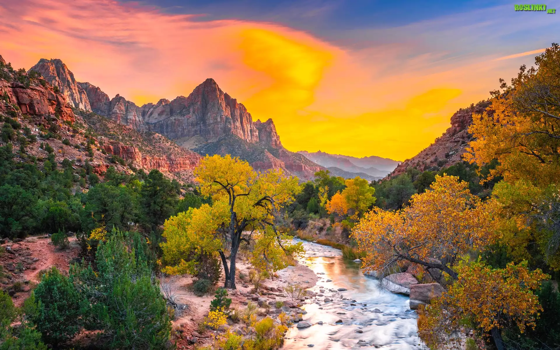 Park Narodowy Zion, Góry Watchman, Rzeka Virgin River, Kamienie, Drzewa, Jesień, Zachód słońca, Stan Utah, Stany Zjednoczone