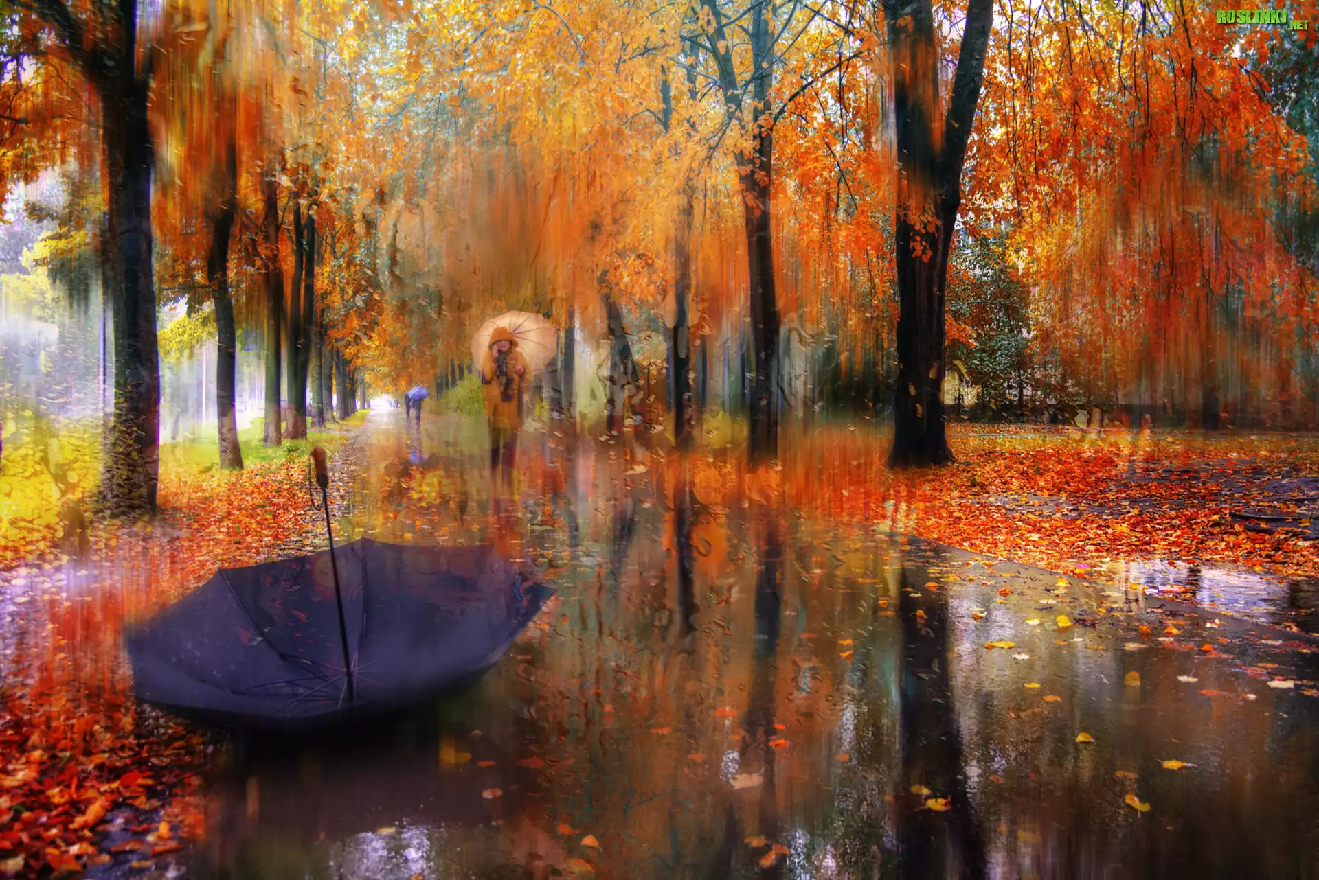 Jesień, Park, Aleja, Deszcz, Drzewa, Ludzie, Parasol