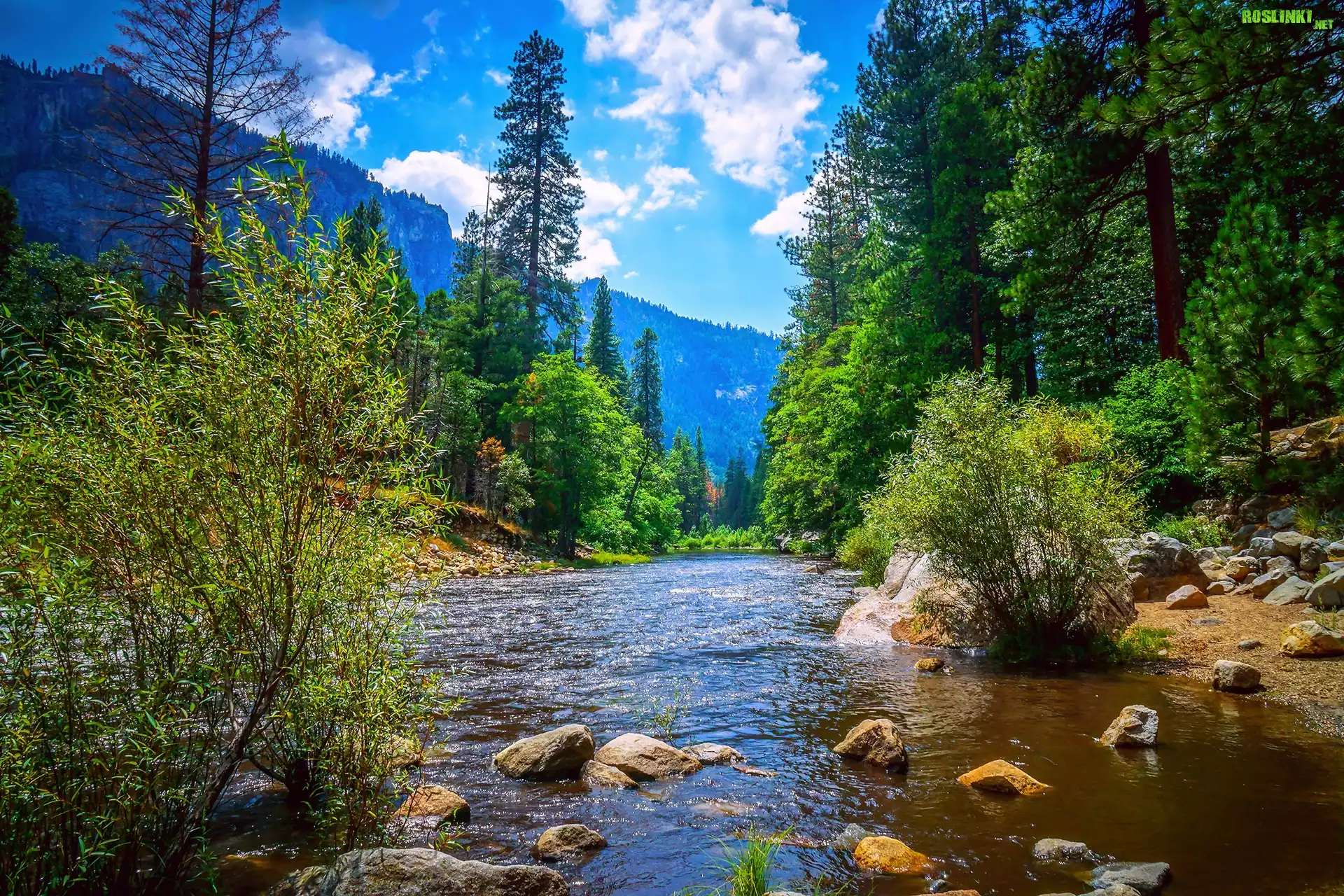 Stany Zjednoczone, Stan Kalifornia, Park Narodowy Yosemite, Rzeka, Góry, Drzewa, Las