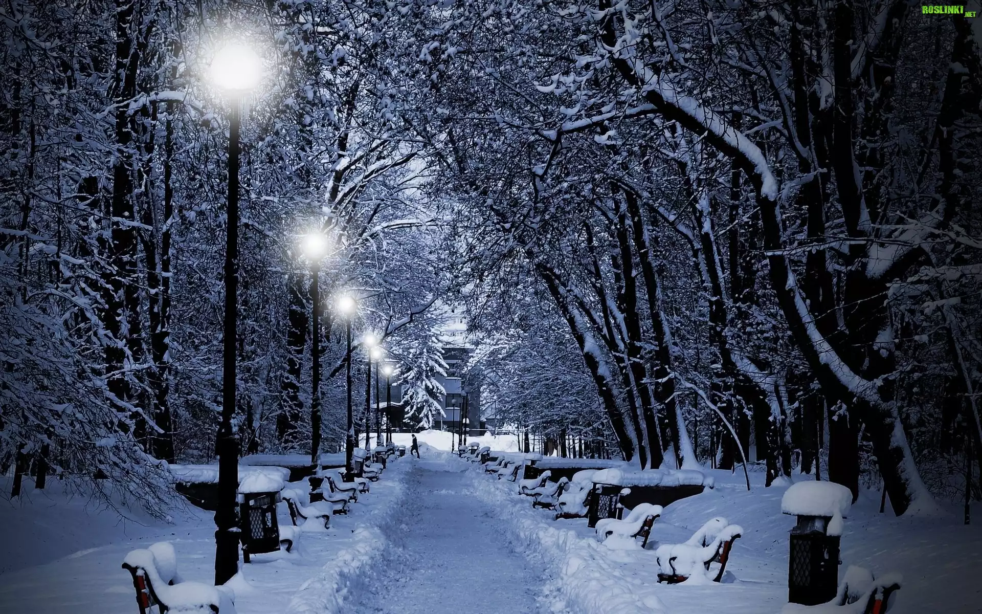 Park, Drzewa, Ławki, Latarnie, Zima