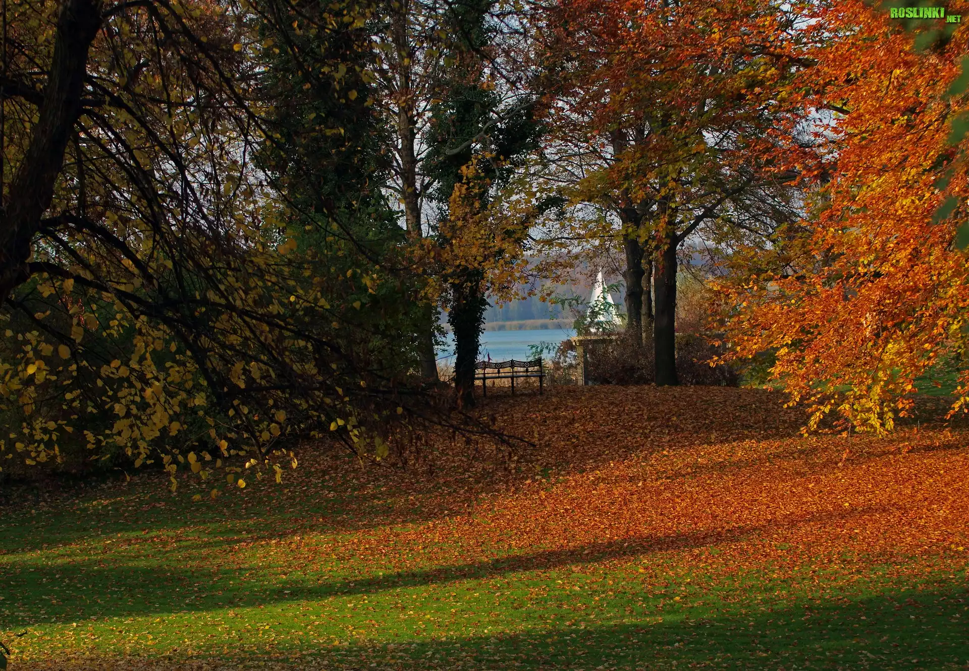 Park, Jesień, Drzewa, Liście, Ławka
